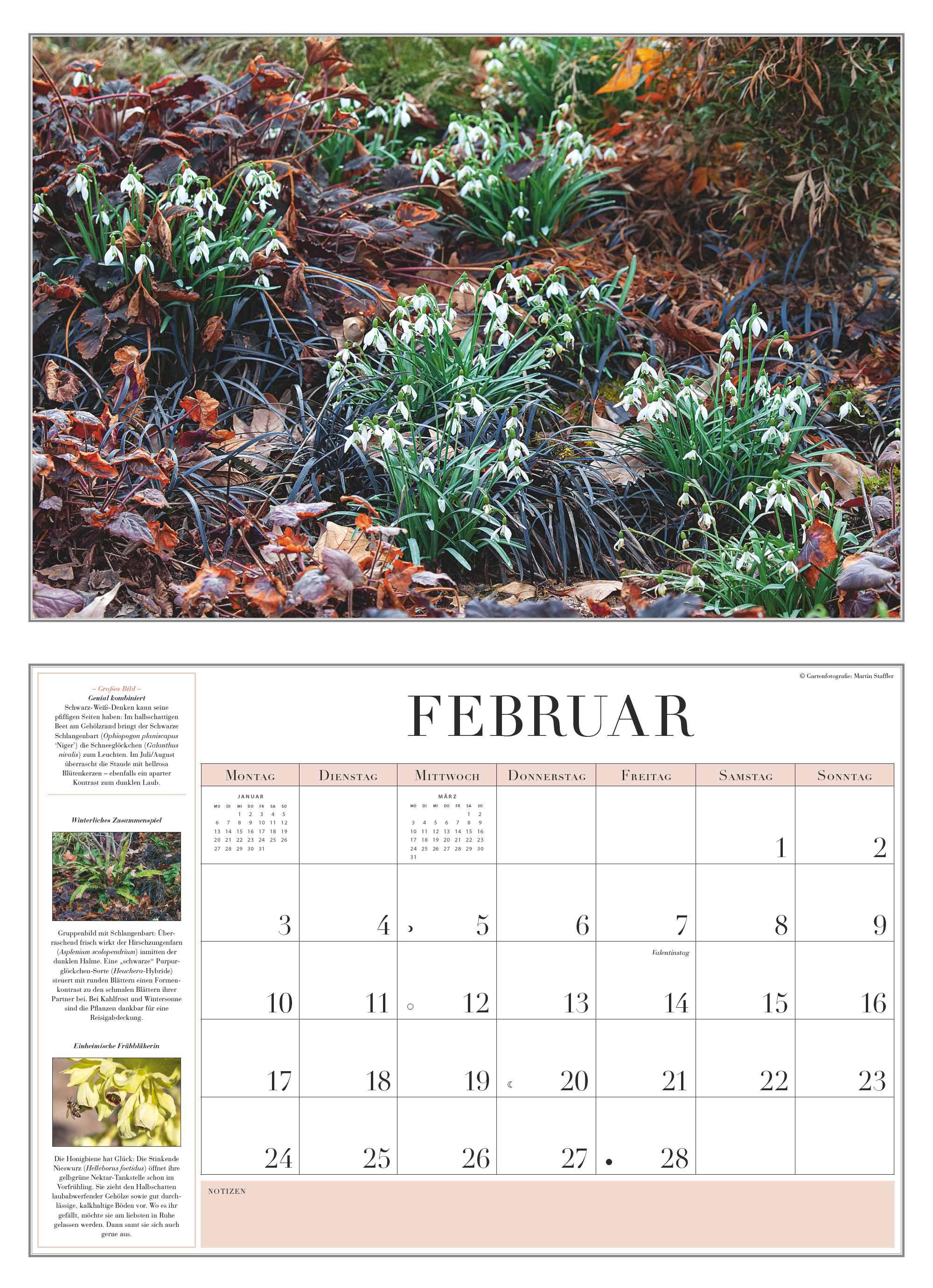 Beispielinhalt (Bild) Garten-Kalender 2025 - Broschürenkalender - mit informativen Texten - mit Jahresplaner - Format 42 x 29 cm