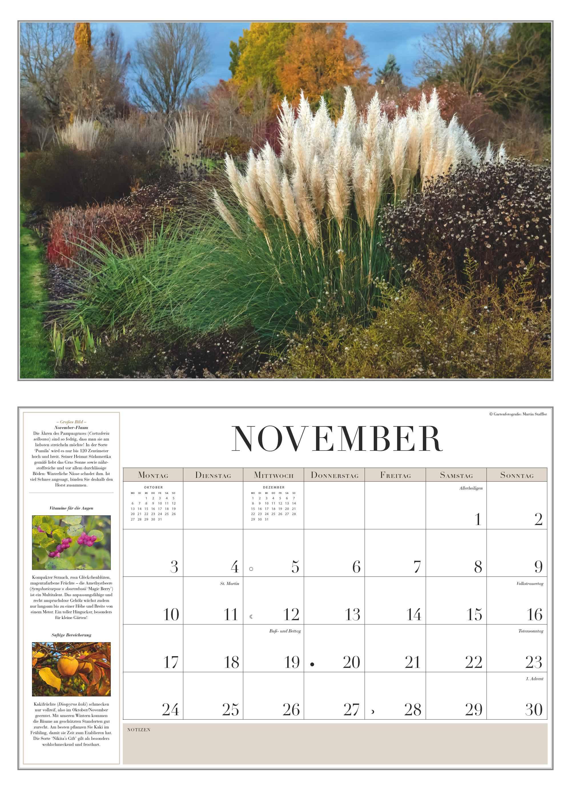 Beispielinhalt (Bild) Garten-Kalender 2025 - Broschürenkalender - mit informativen Texten - mit Jahresplaner - Format 42 x 29 cm