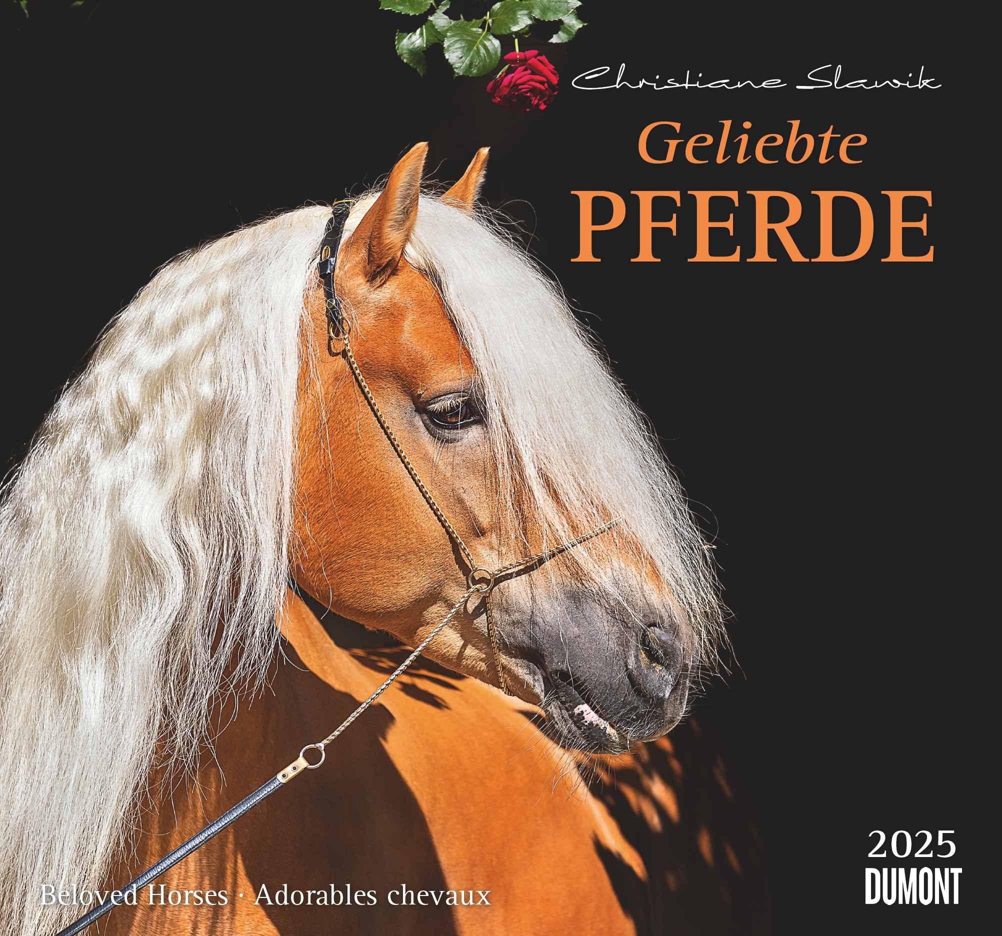 Vorderes Coverbild Geliebte Pferde 2025 - DUMONT-Wandkalender - Pferdefotografie von Christiane Slawik Format - 38,0 x 35,5 cm