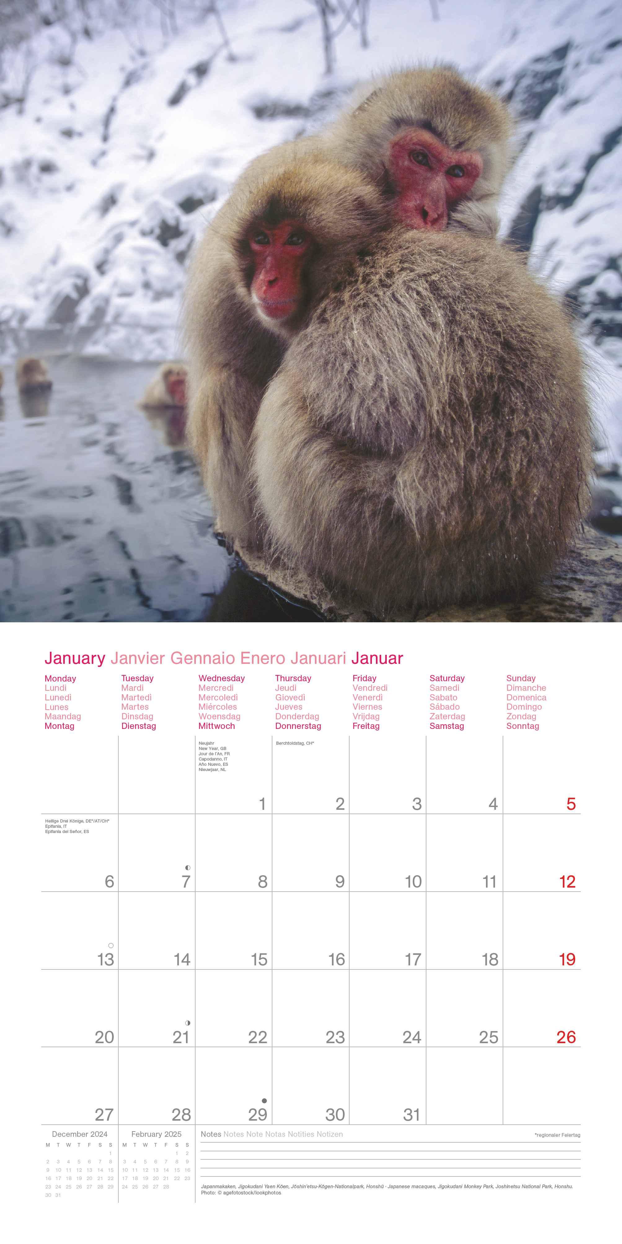 Beispielinhalt (Bild) Japan 2025 - Wand-Kalender - Broschüren-Kalender - 30x30 - 30x60 geöffnet - Reise-Kalender