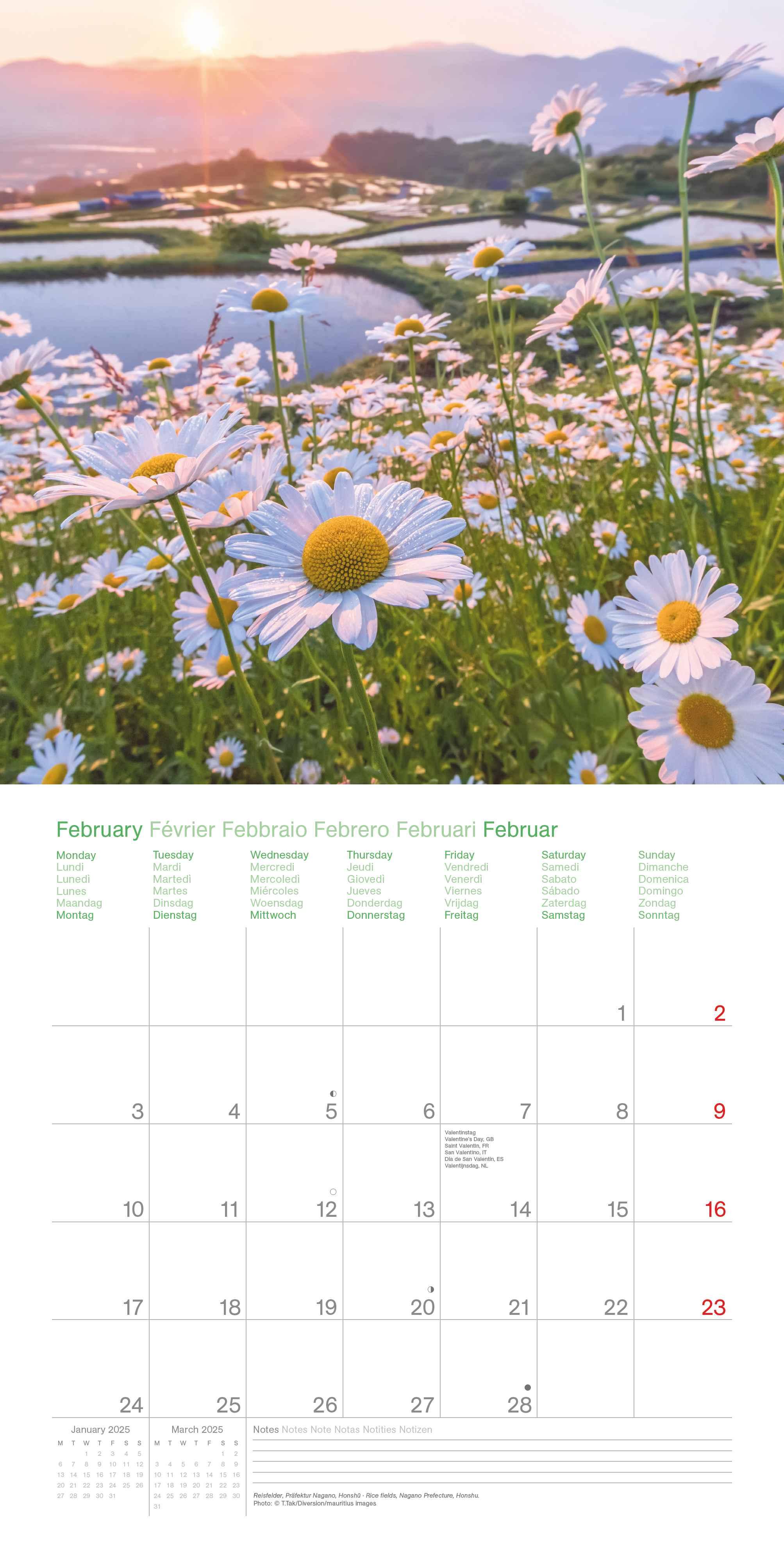 Beispielinhalt (Bild) Japan 2025 - Wand-Kalender - Broschüren-Kalender - 30x30 - 30x60 geöffnet - Reise-Kalender