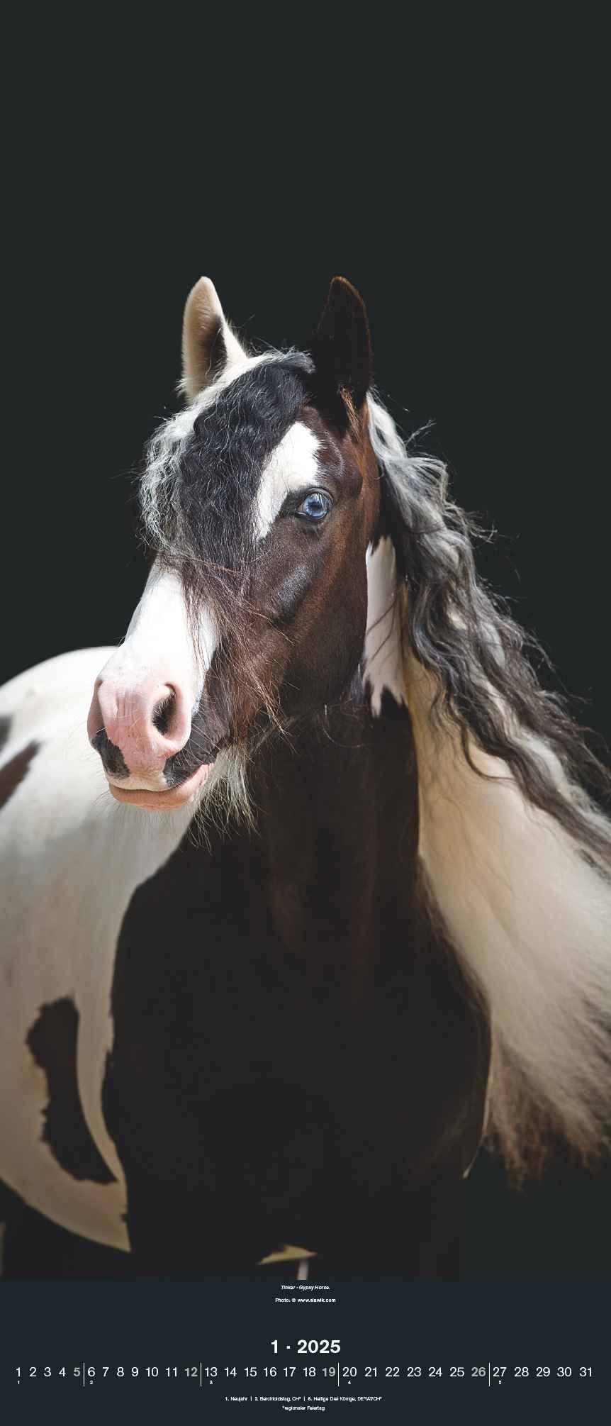 Beispielinhalt (Bild) Beautiful Horses 2025 - Foto-Kalender - Wand-Kalender - 30x70
