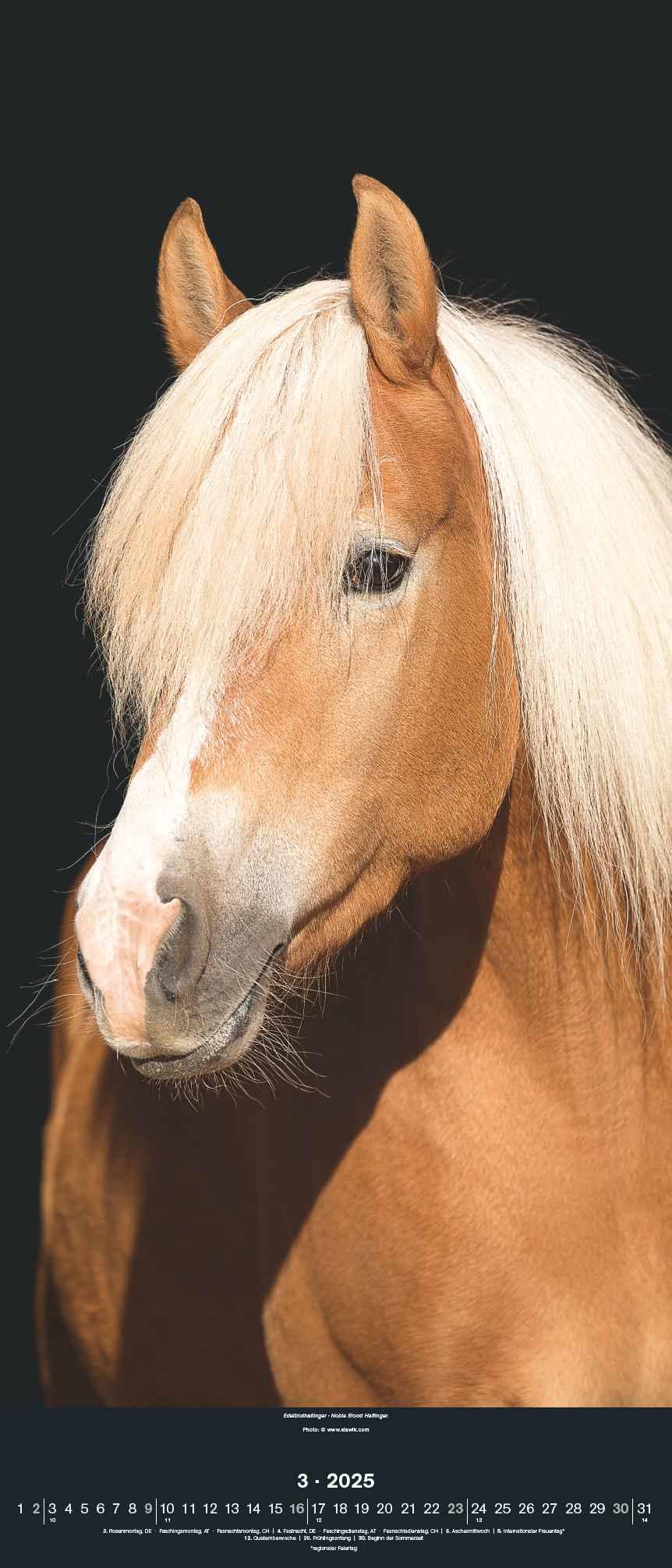 Beispielinhalt (Bild) Beautiful Horses 2025 - Foto-Kalender - Wand-Kalender - 30x70