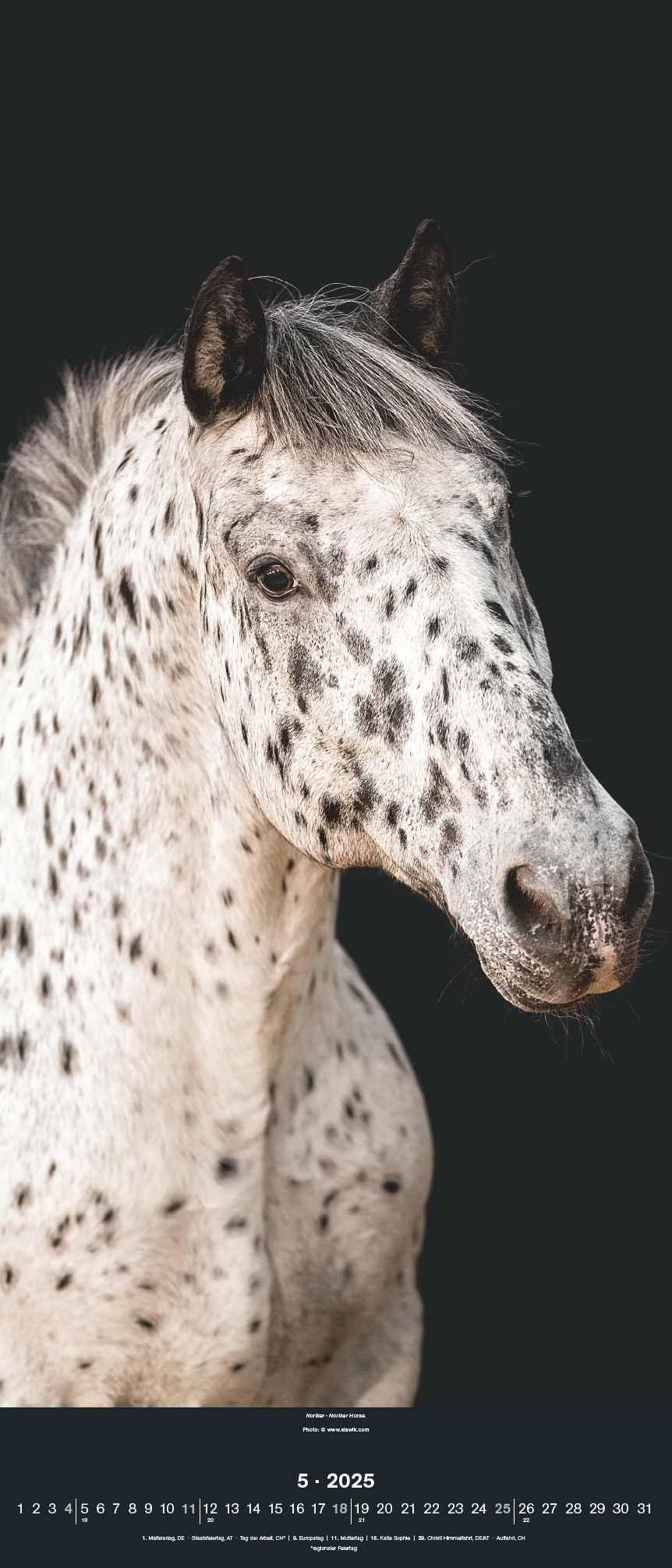 Beispielinhalt (Bild) Beautiful Horses 2025 - Foto-Kalender - Wand-Kalender - 30x70