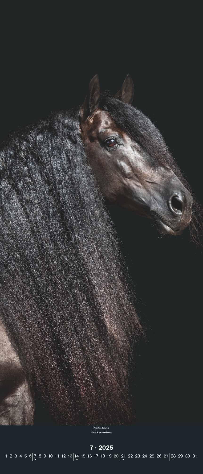 Beispielinhalt (Bild) Beautiful Horses 2025 - Foto-Kalender - Wand-Kalender - 30x70