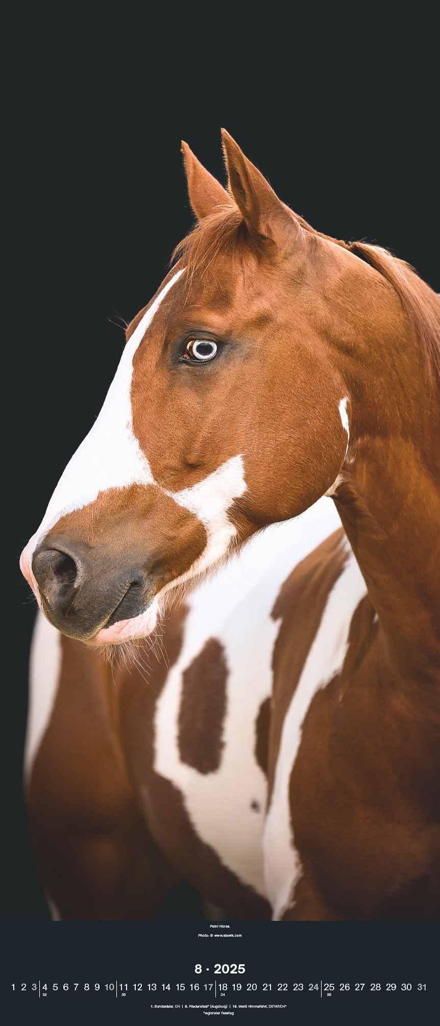 Beispielinhalt (Bild) Beautiful Horses 2025 - Foto-Kalender - Wand-Kalender - 30x70