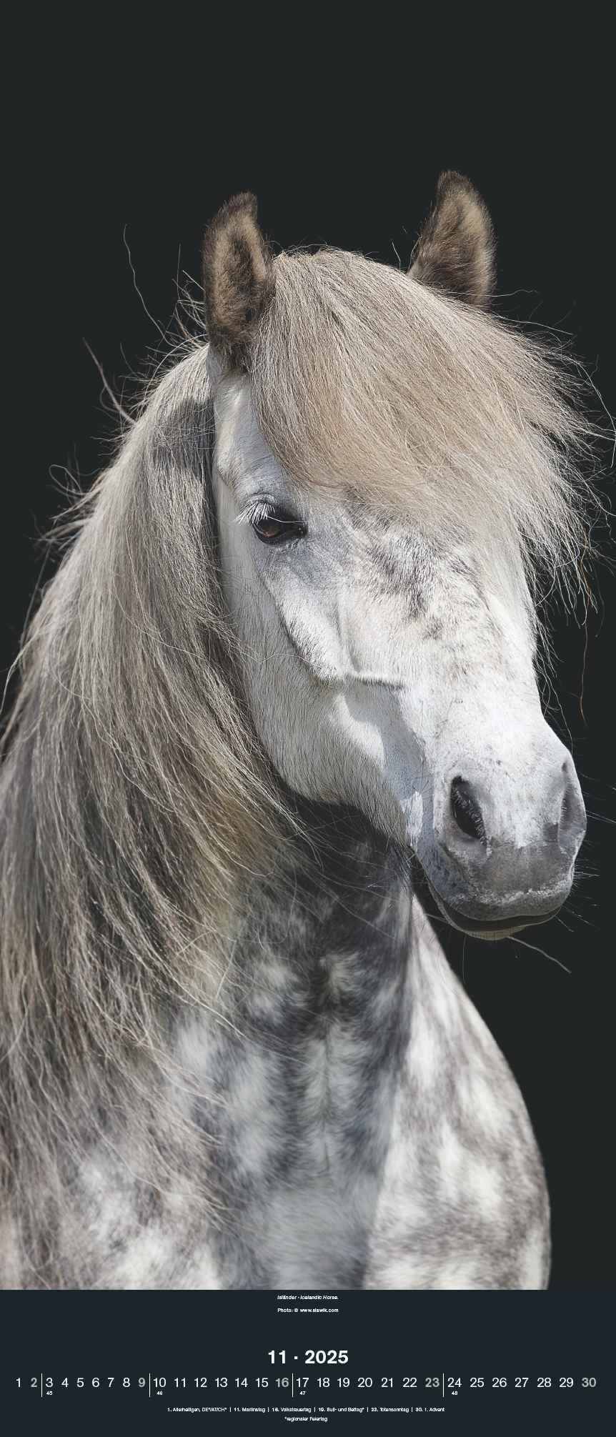 Beispielinhalt (Bild) Beautiful Horses 2025 - Foto-Kalender - Wand-Kalender - 30x70