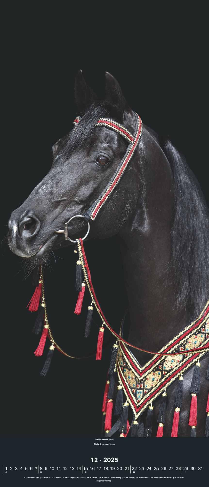 Beispielinhalt (Bild) Beautiful Horses 2025 - Foto-Kalender - Wand-Kalender - 30x70
