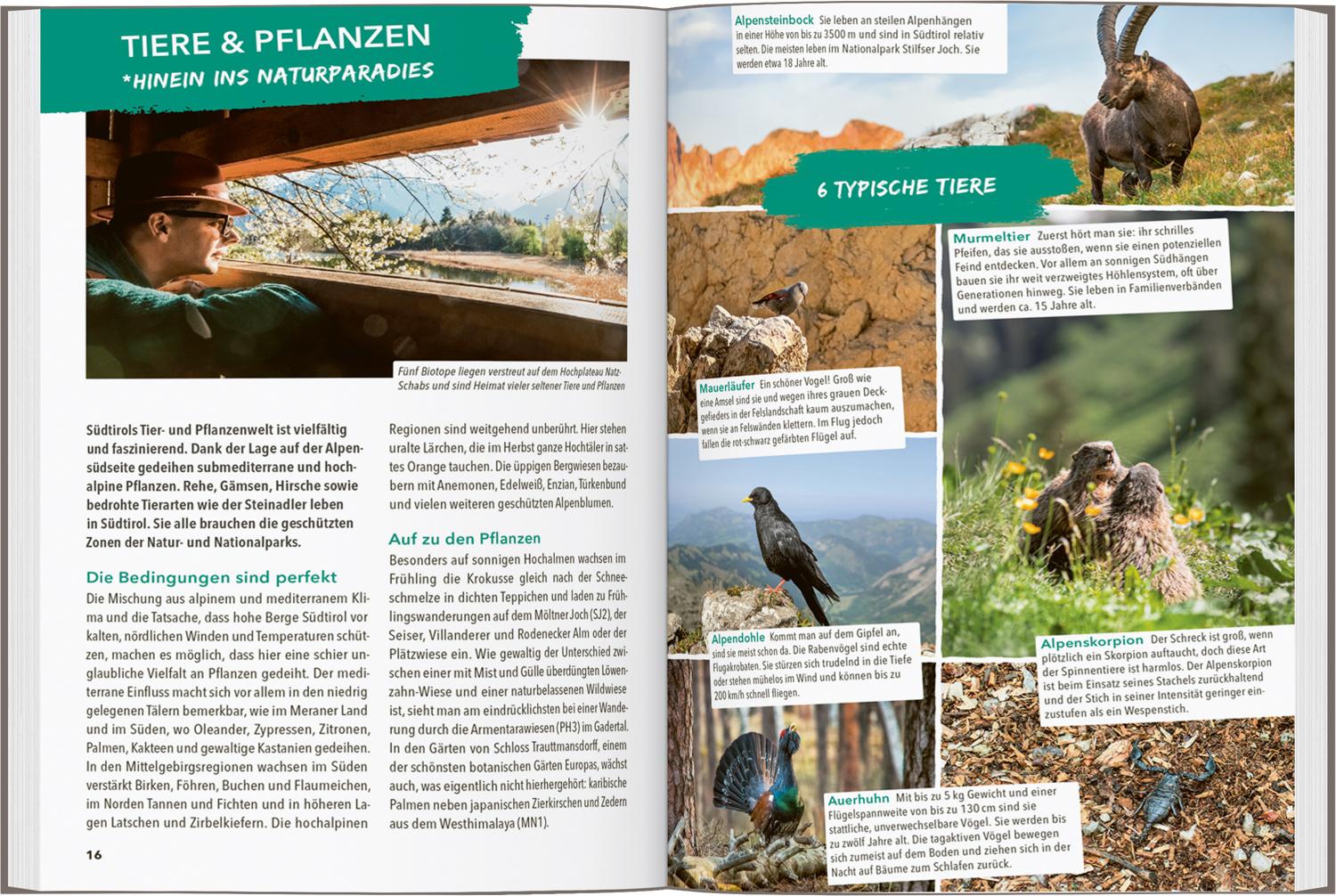 Beispielinhalt (Bild) MARCO POLO OUTDOOR GUIDE Reiseführer Südtirol