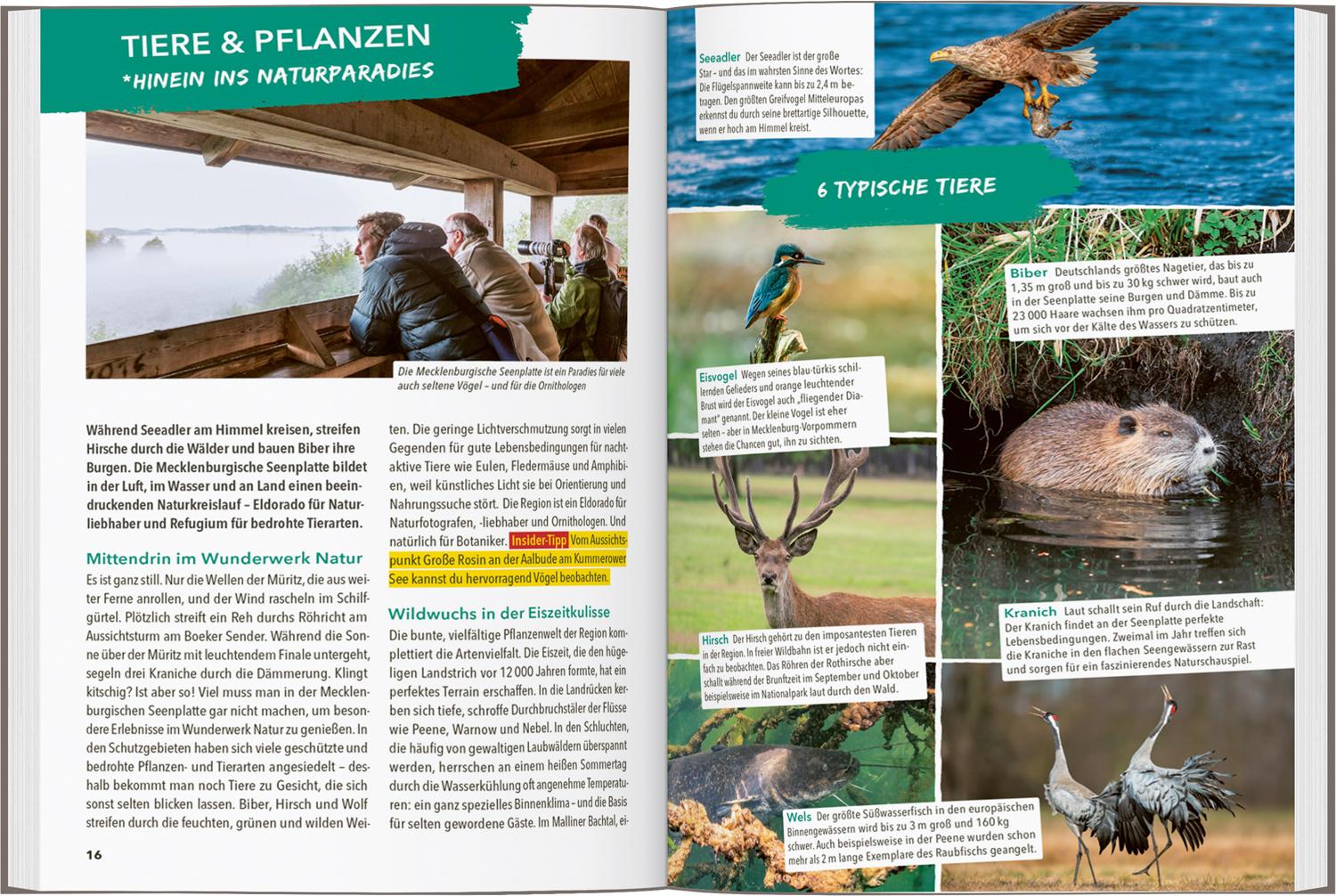 Beispielinhalt (Bild) MARCO POLO OUTDOOR GUIDE Reiseführer Mecklenburgische Seenplatte