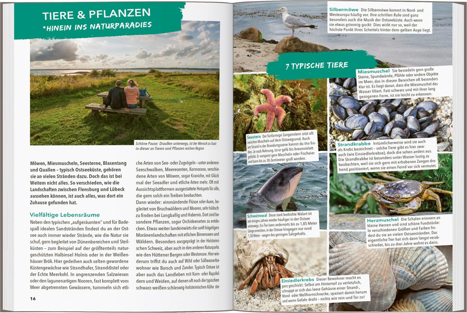 Beispielinhalt (Bild) MARCO POLO OUTDOOR GUIDE Reiseführer Ostseeküste Schleswig-Holstein