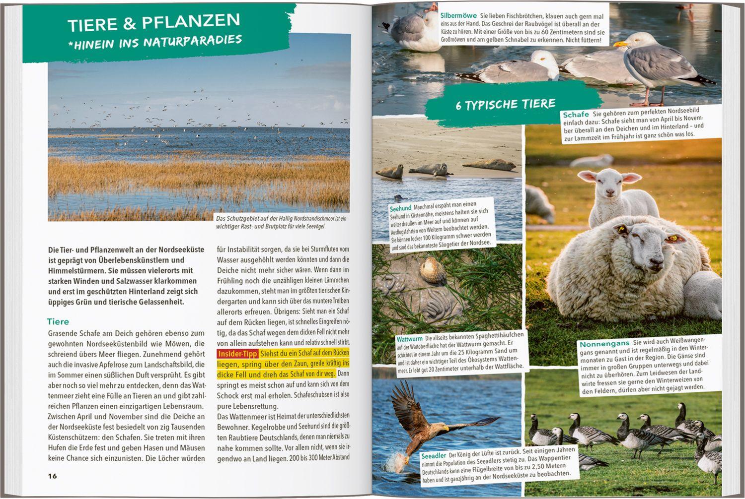 Beispielinhalt (Bild) MARCO POLO OUTDOOR GUIDE Reiseführer Nordseeküste Schleswig-Holstein