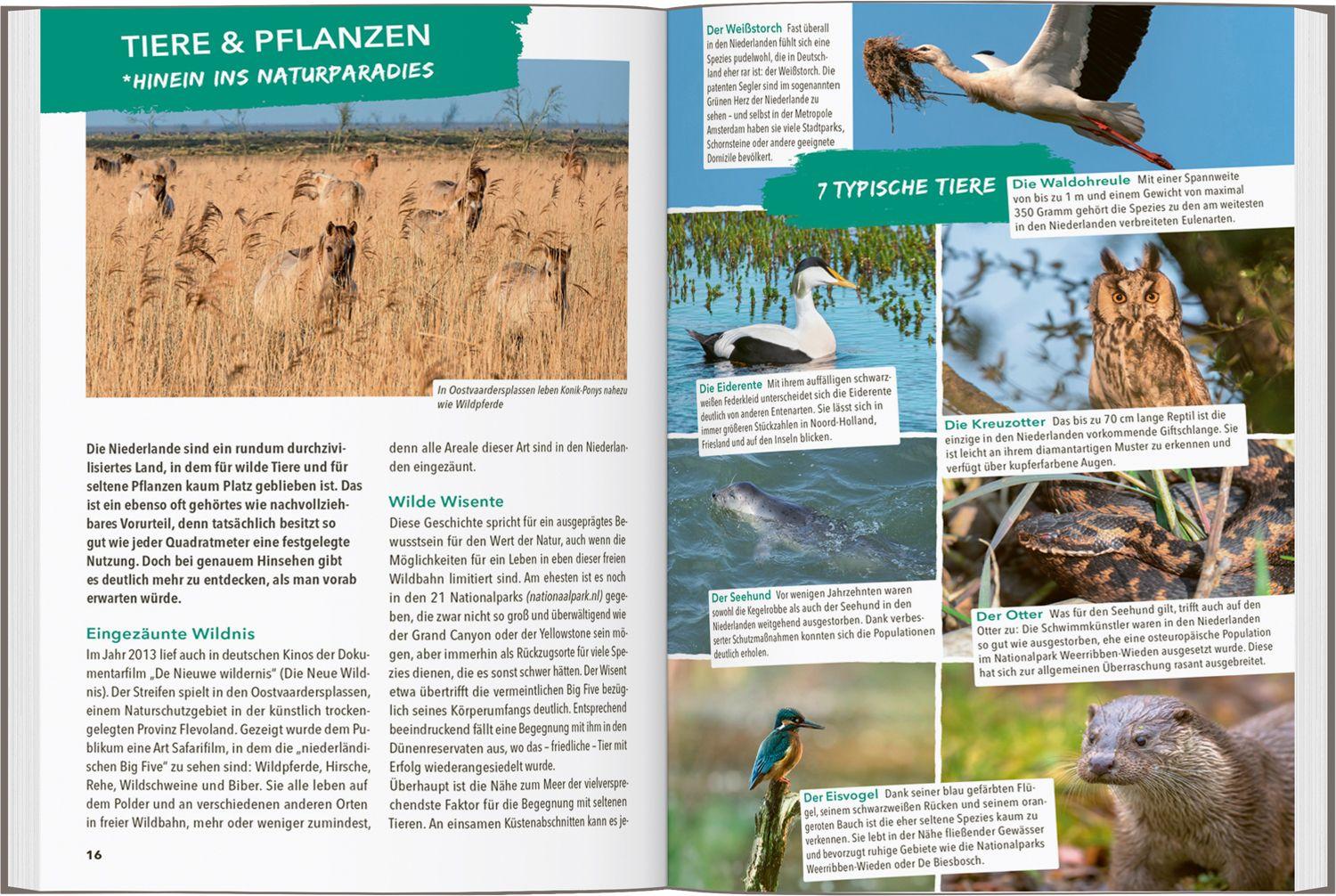 Beispielinhalt (Bild) MARCO POLO OUTDOOR GUIDE Reiseführer Niederländische Küste