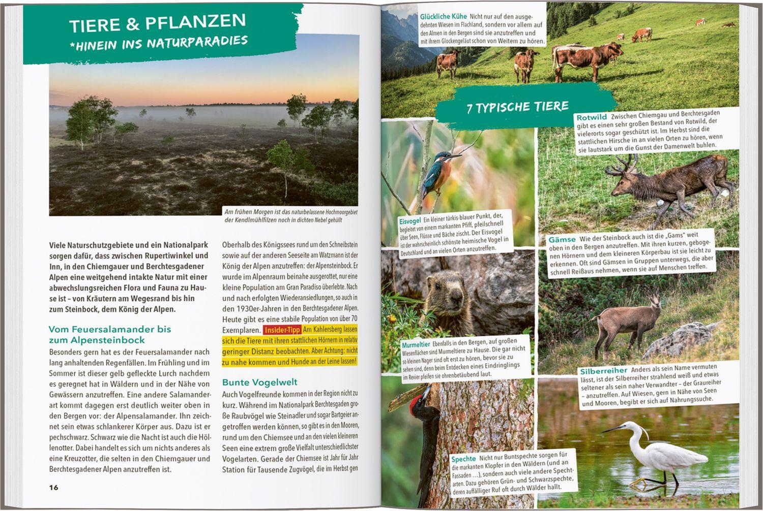 Beispielinhalt (Bild) MARCO POLO OUTDOOR GUIDE Reiseführer Chiemgau & Berchtesgadener Land