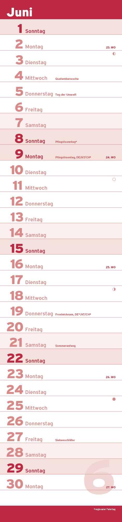 Beispielinhalt (Bild) Notizkalender XL Rot 2025 - Streifenkalender 15x64 cm - Wandplaner - Küchenkalender - schmales Design - eine Spalte - Langplaner