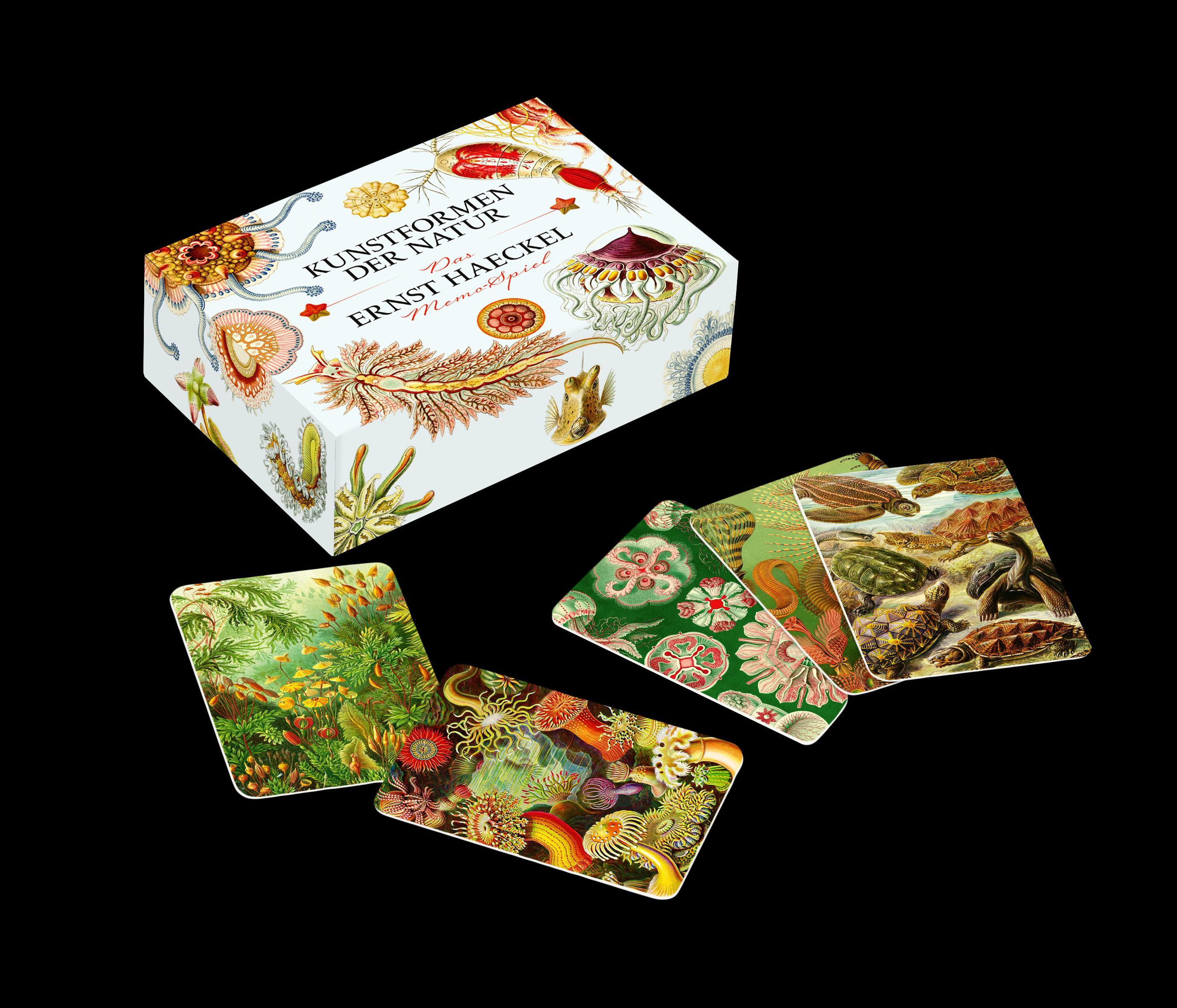 Vorderes Coverbild Das Ernst-Haeckel-Memo-Spiel