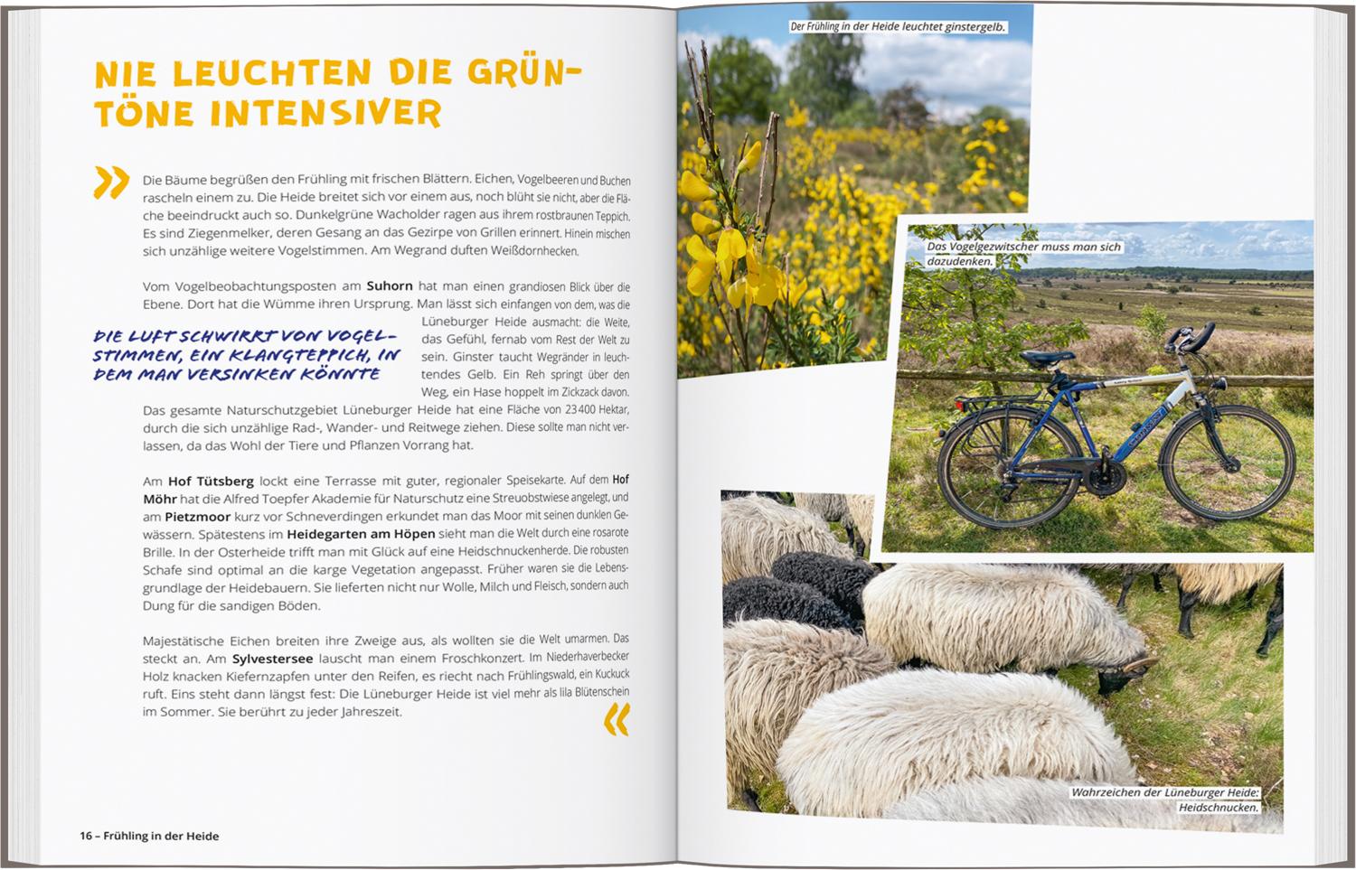 Beispielinhalt (Bild) DUMONT Radelzeit in der Lüneburger Heide