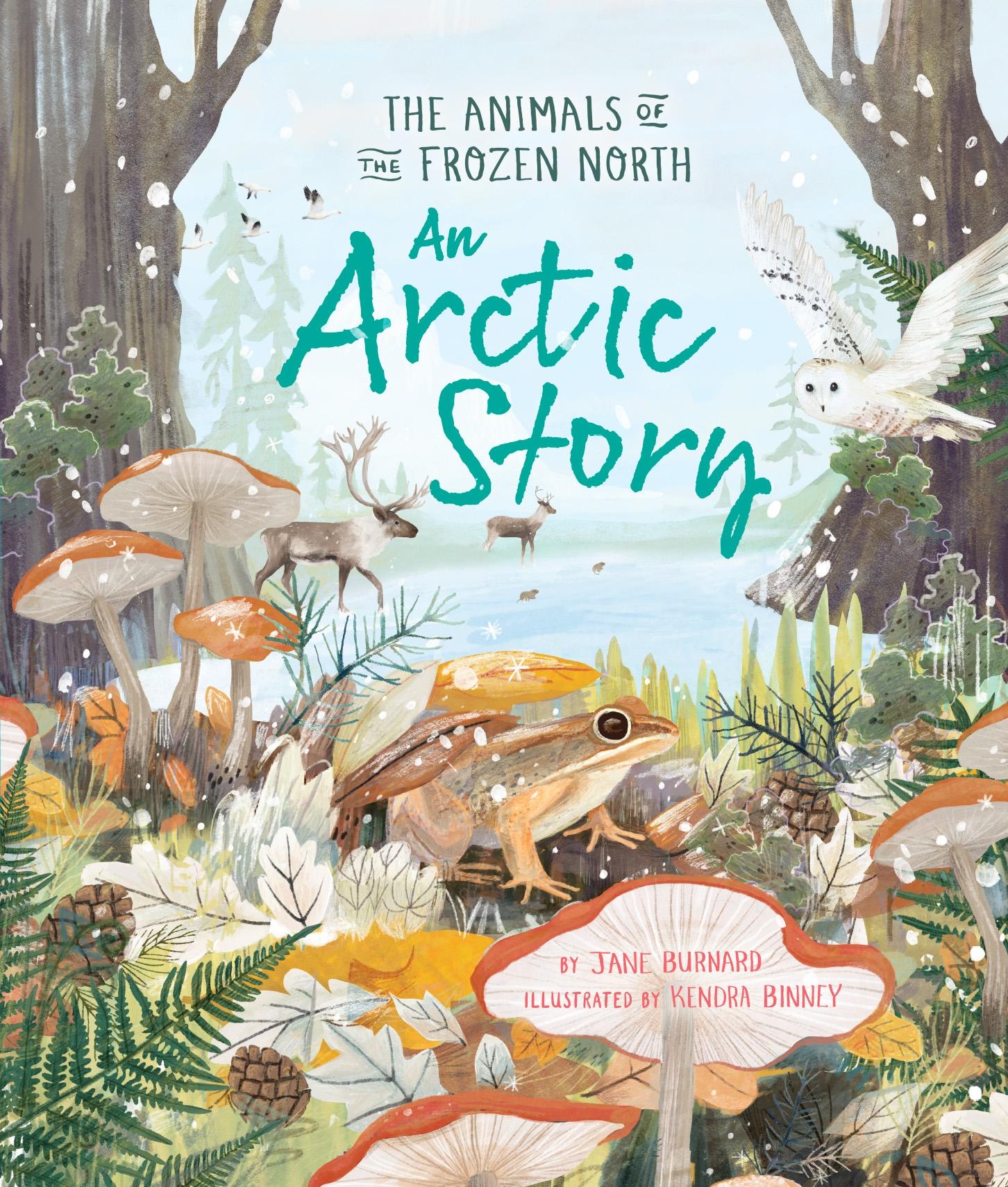 Vorderes Coverbild An Arctic Story