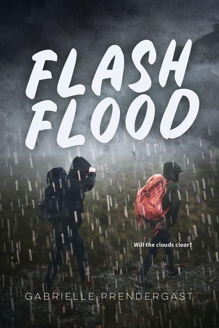 Vorderes Coverbild Flash Flood