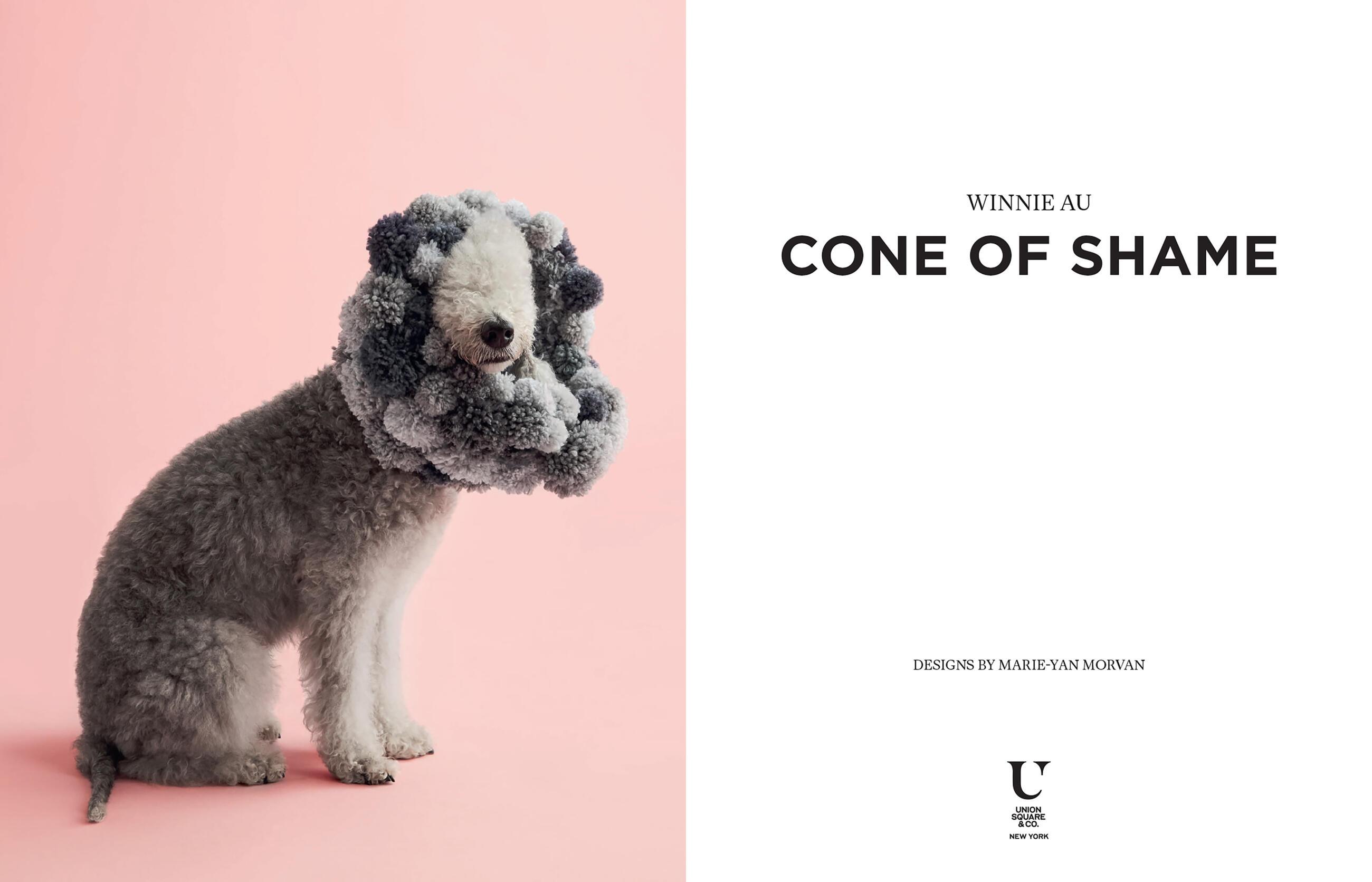 Beispielinhalt (Bild) Cone of Shame