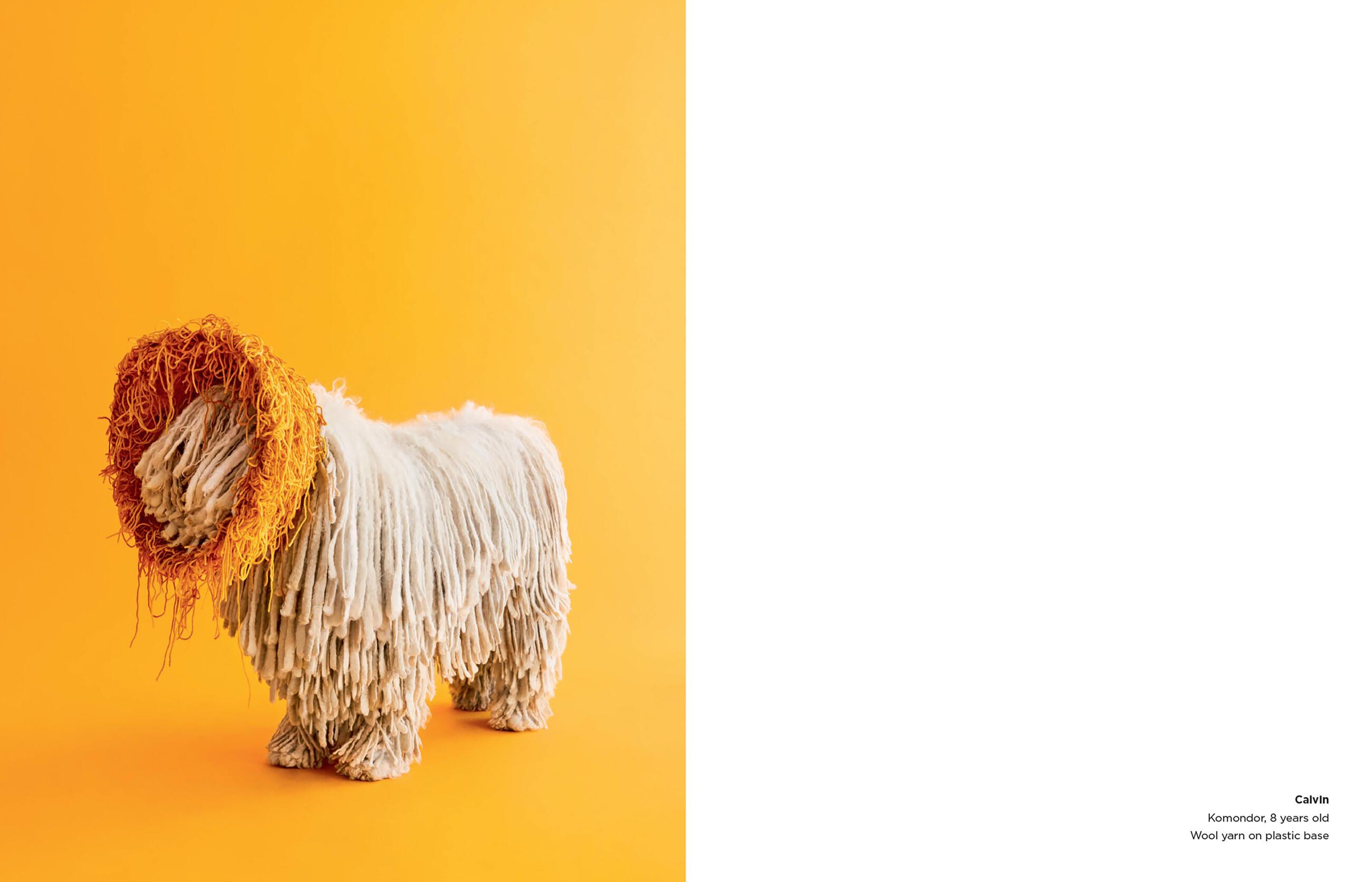 Beispielinhalt (Bild) Cone of Shame