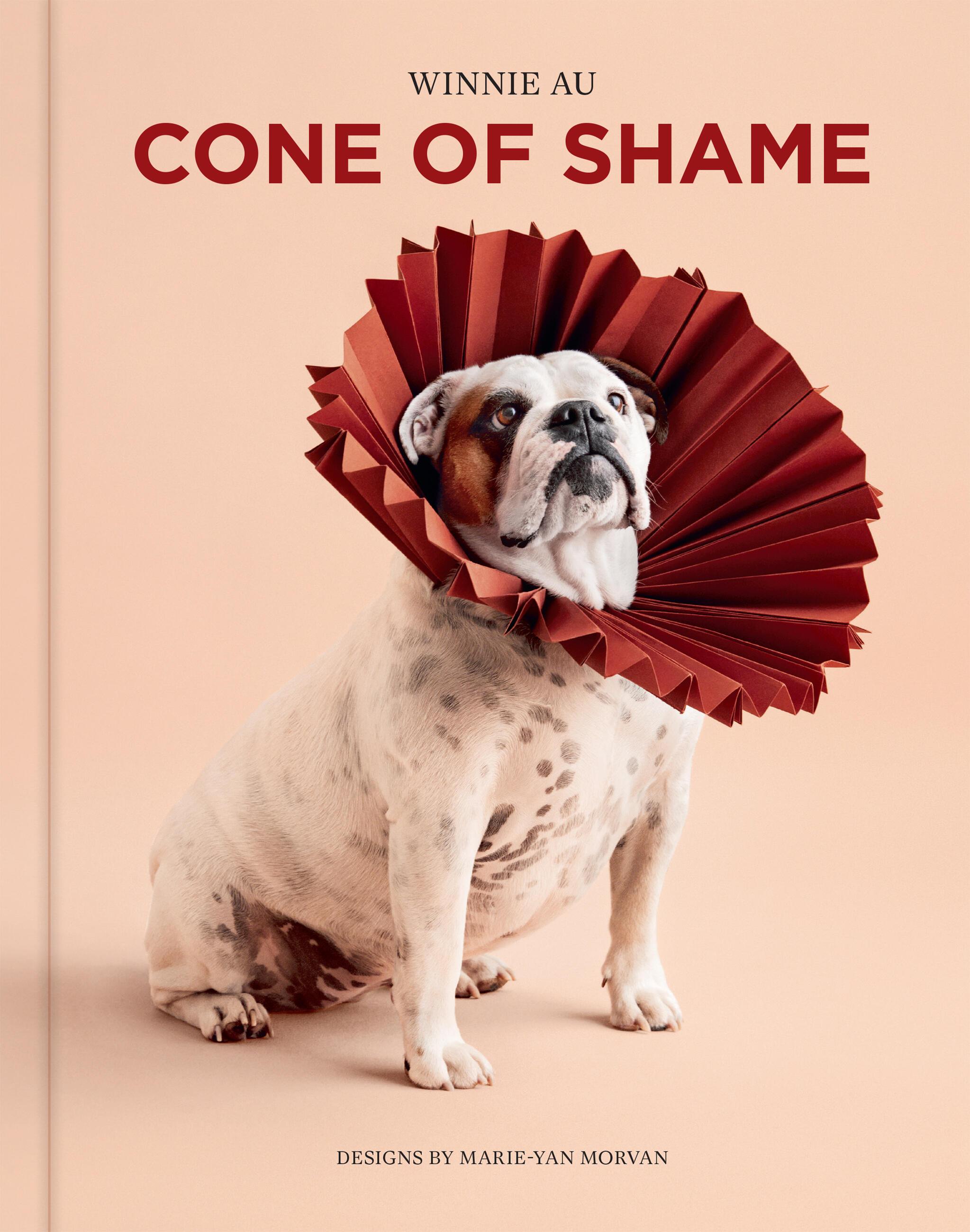 Vorderes Coverbild Cone of Shame