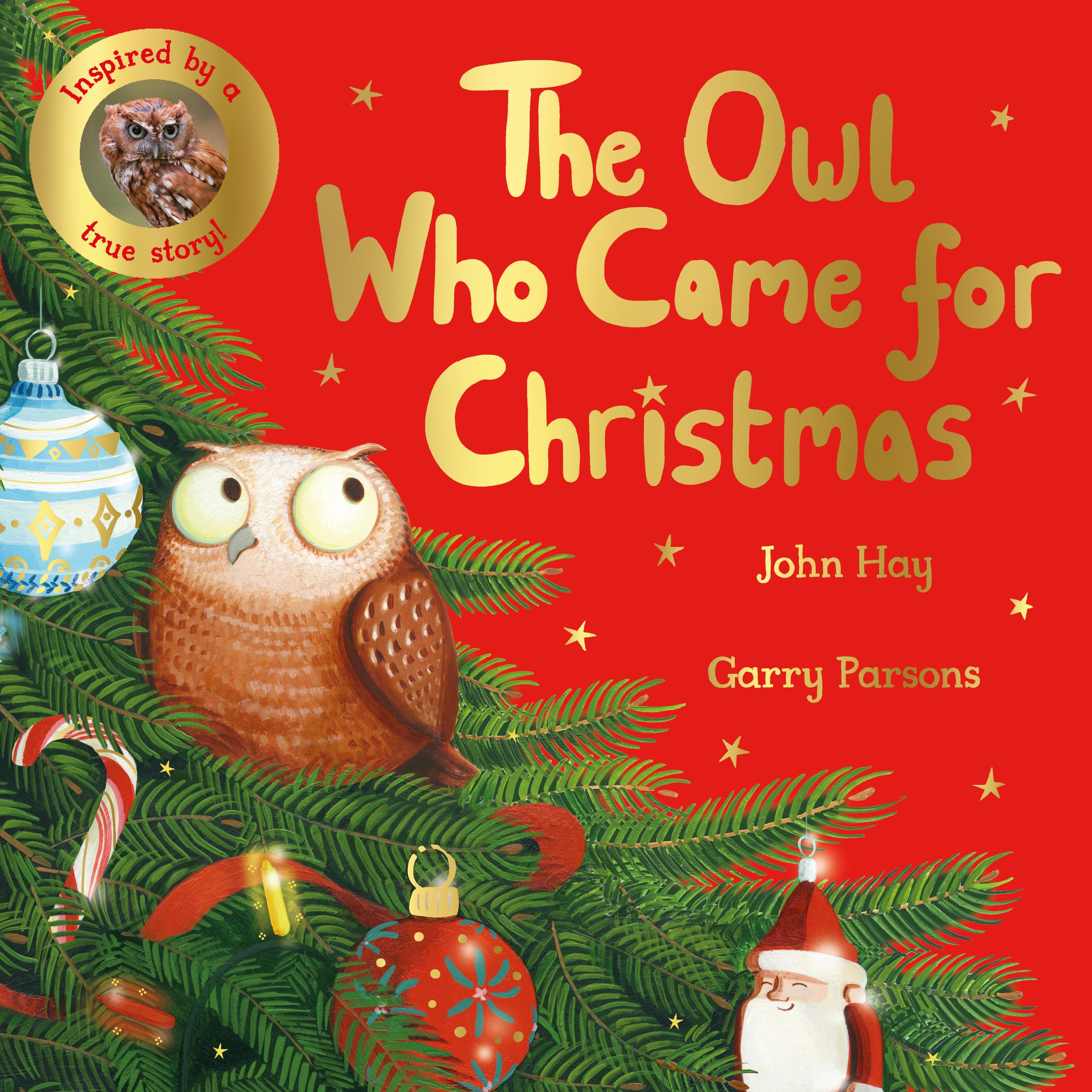 Vorderes Coverbild The Owl Who Came for Christmas