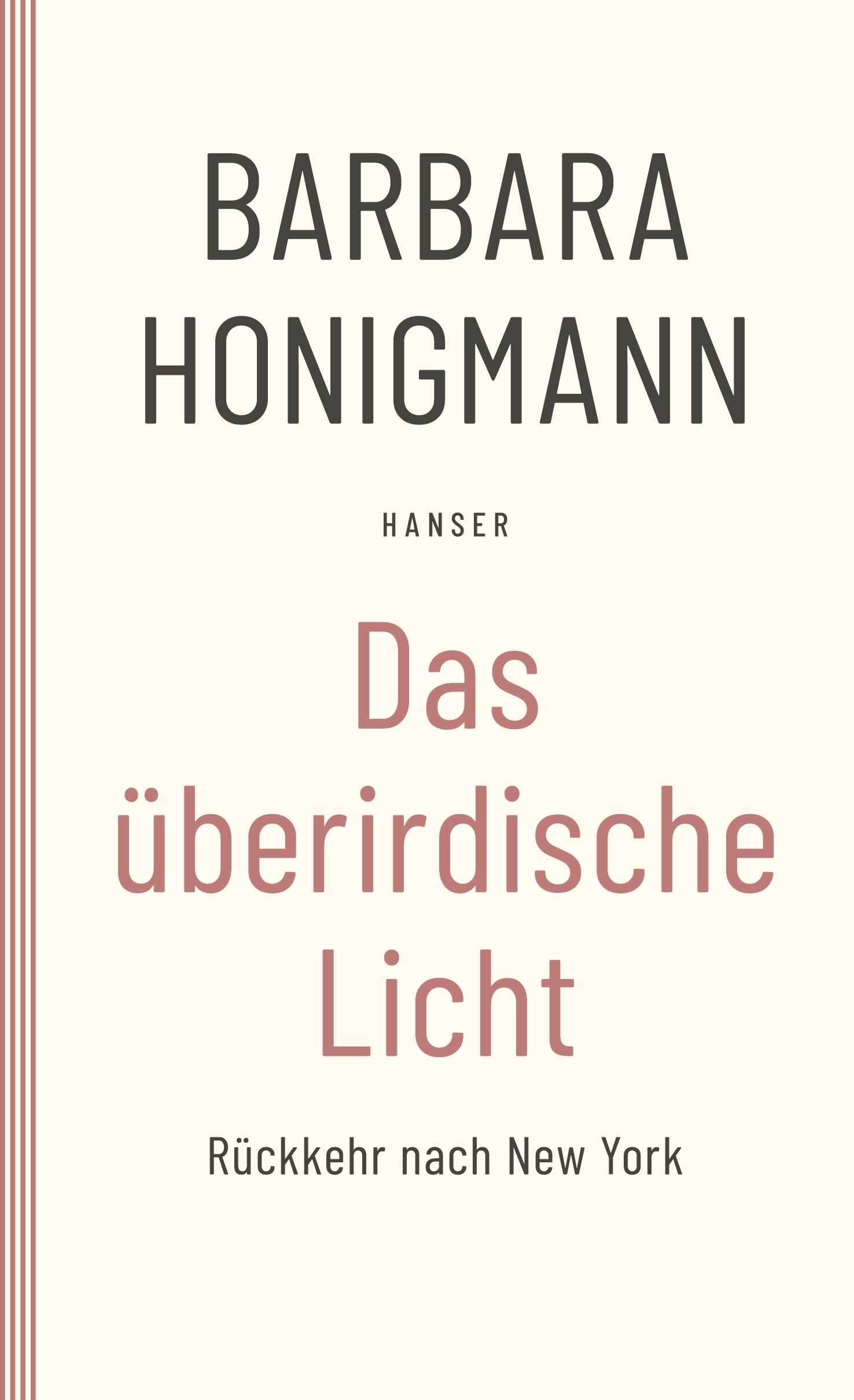 Vorderes Coverbild Das überirdische Licht