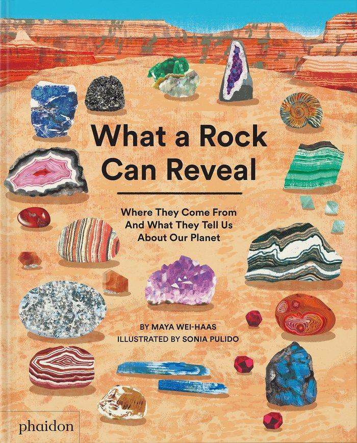 Vorderes Coverbild What a Rock Can Reveal