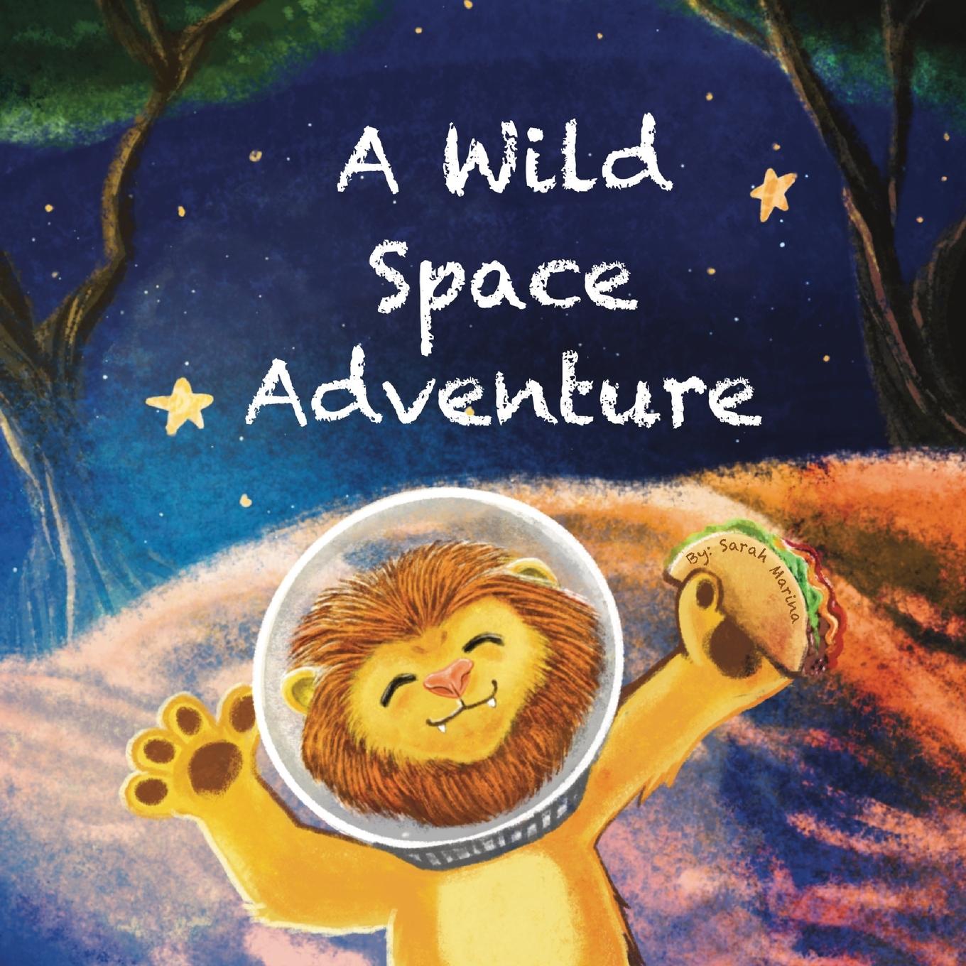 Vorderes Coverbild A Wild Space Adventure