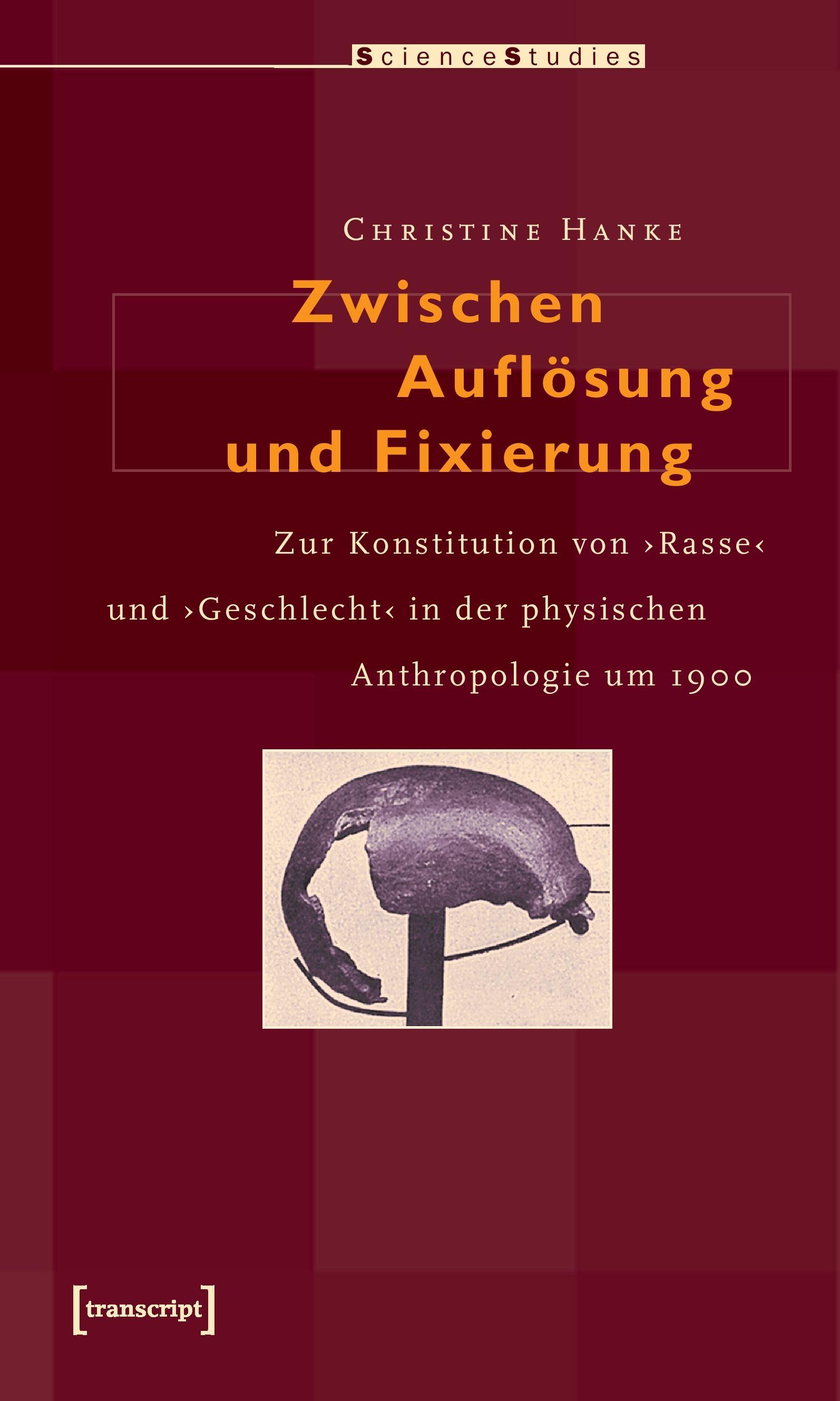 Vorderes Coverbild Zwischen Auflösung und Fixierung