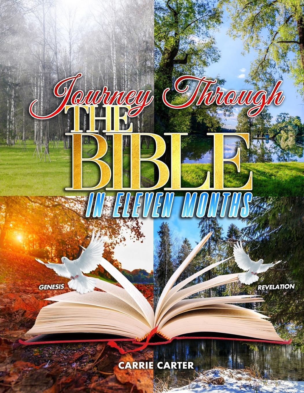 Vorderes Coverbild Journey Through the Bible in Eleven Months