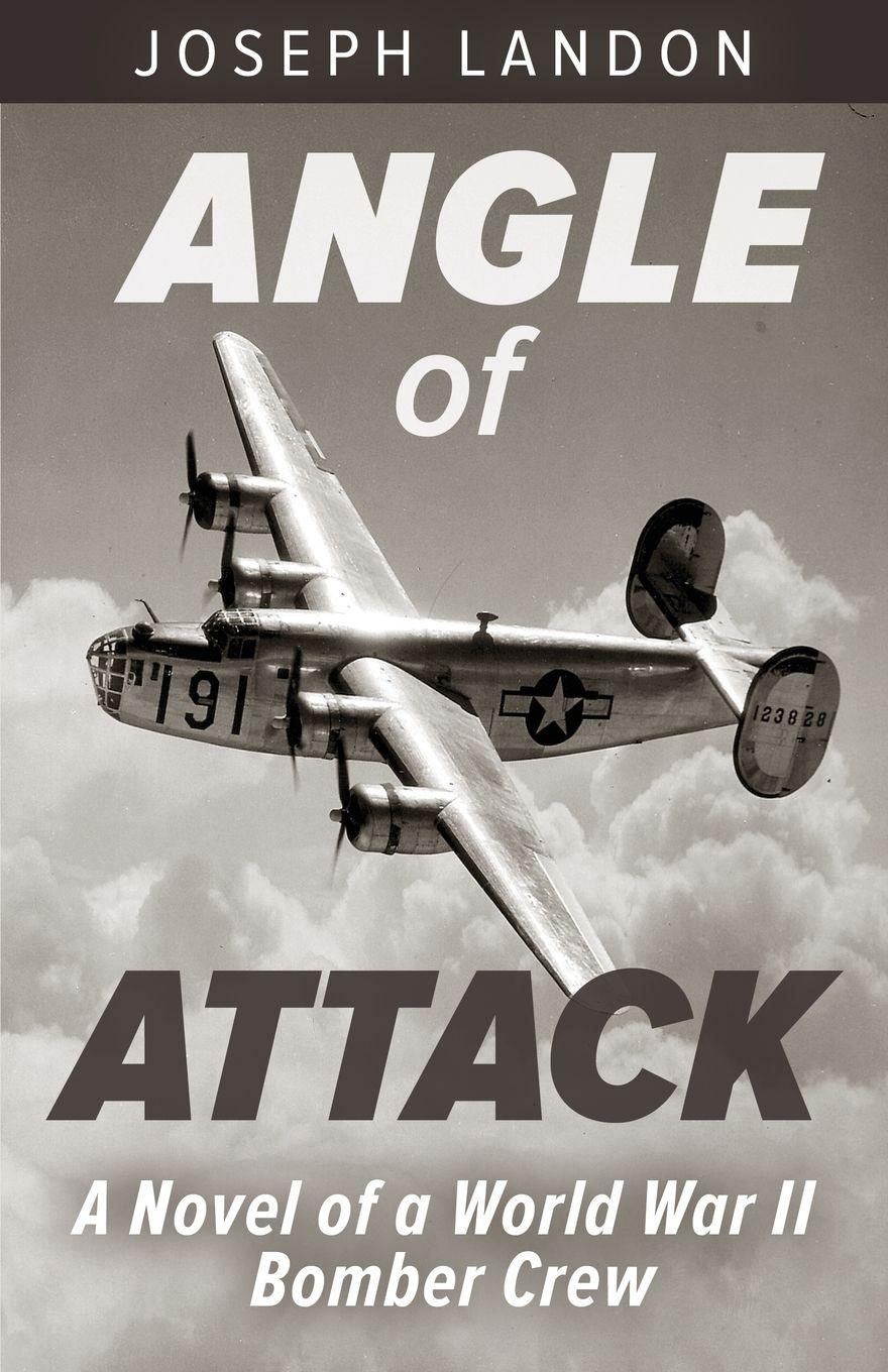 Vorderes Coverbild Angle of Attack