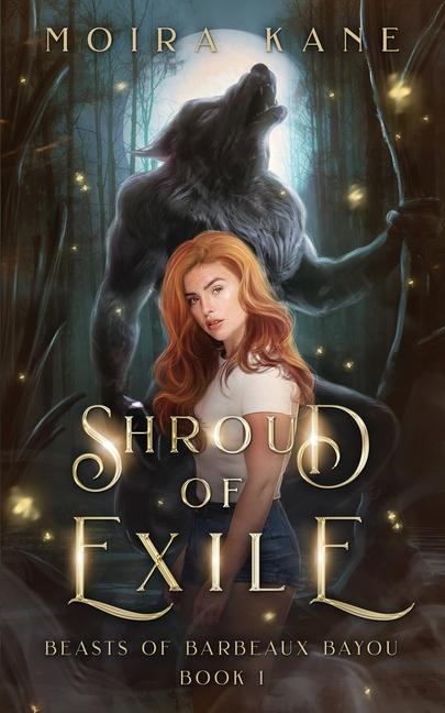 Vorderes Coverbild Shroud of Exile