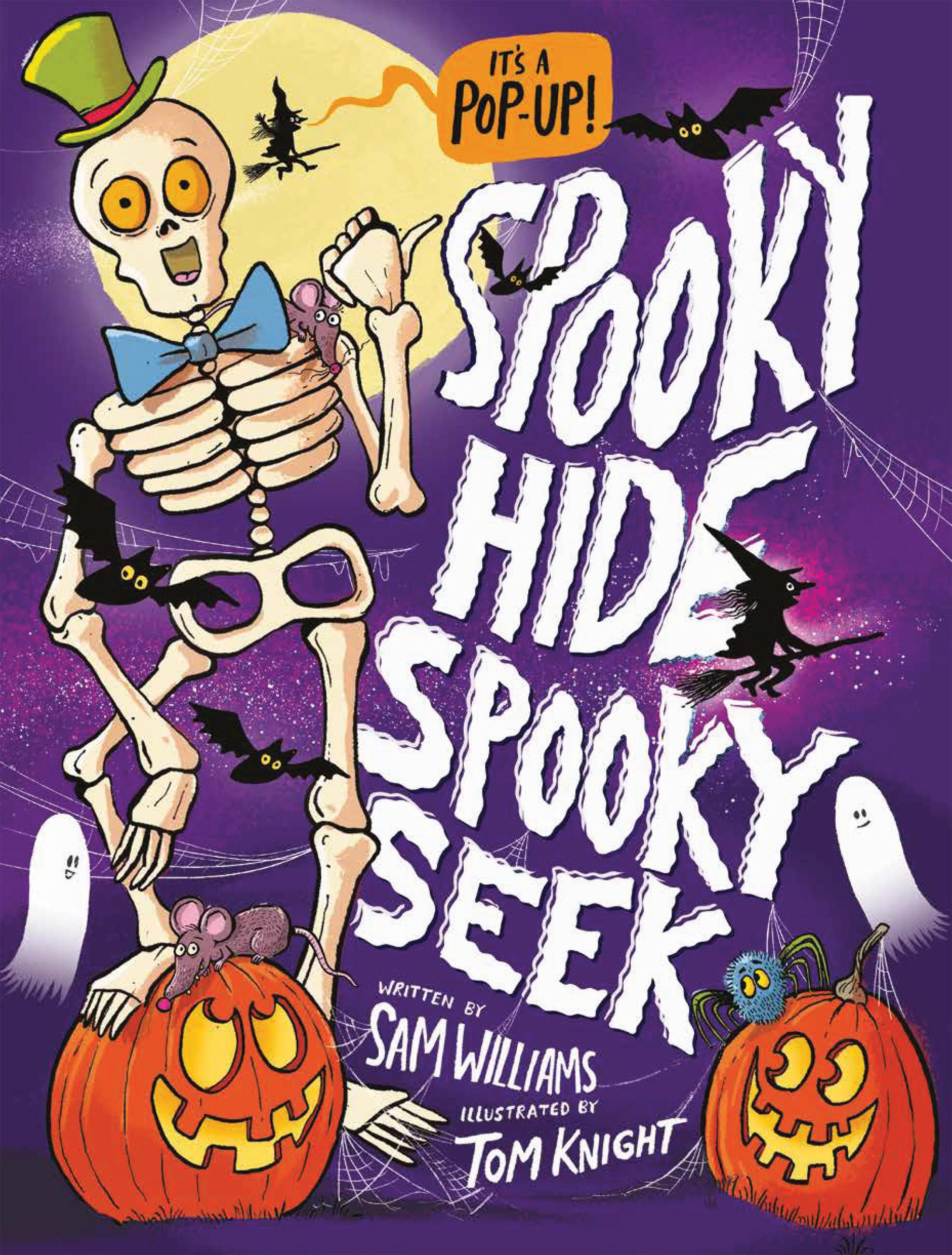 Vorderes Coverbild Spooky Hide, Spooky Seek