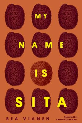 Vorderes Coverbild My Name Is Sita