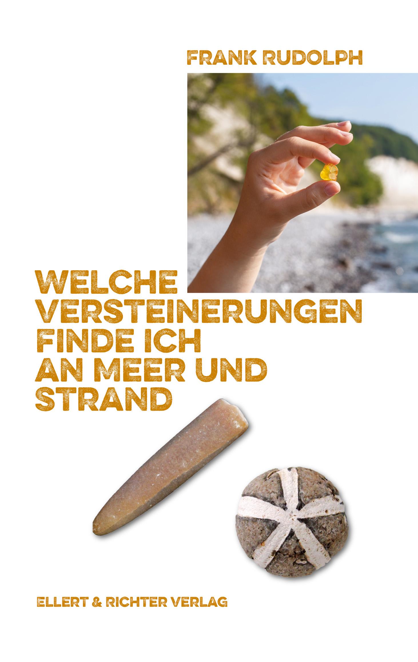 Vorderes Coverbild Welche Versteinerungen finde ich an Meer und Strand