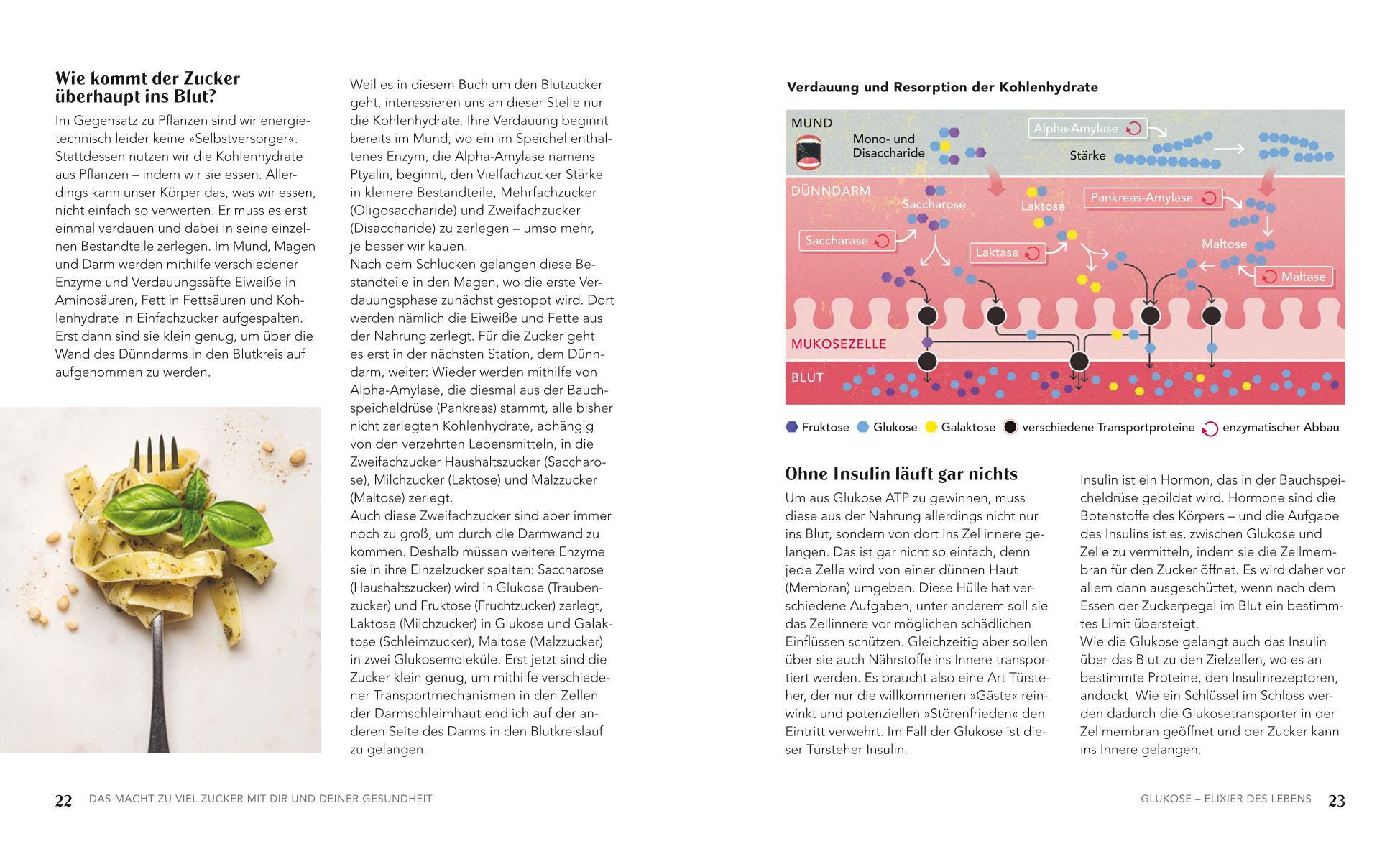 Beispielinhalt (Bild) Glukose - Blutzucker runter, Gesundheit rauf
