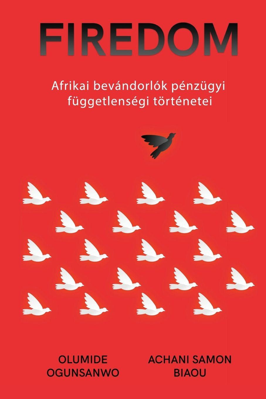 Vorderes Coverbild Afrikai bevándorlók pénzügyi függetlenségi történetei