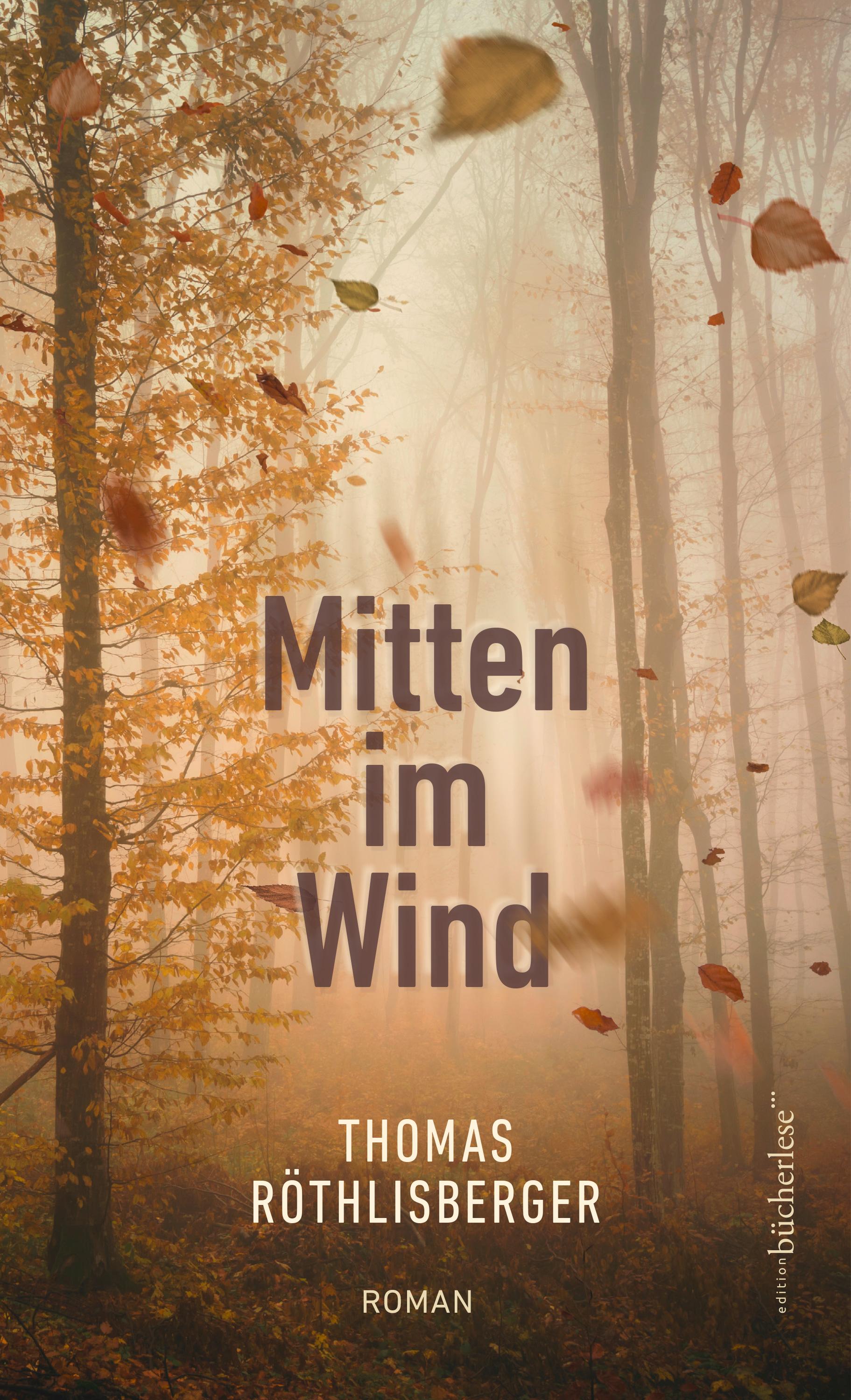 Vorderes Coverbild Mitten im Wind