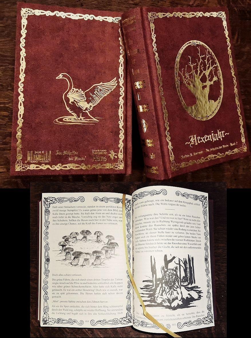 Vorderes Coverbild Im Schatten der Hexen 2 Hexenjahr