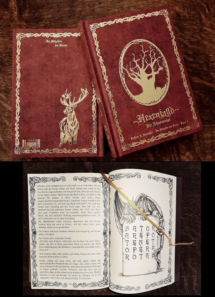 Vorderes Coverbild Im Schatten der Hexen 3 Hexenjagd