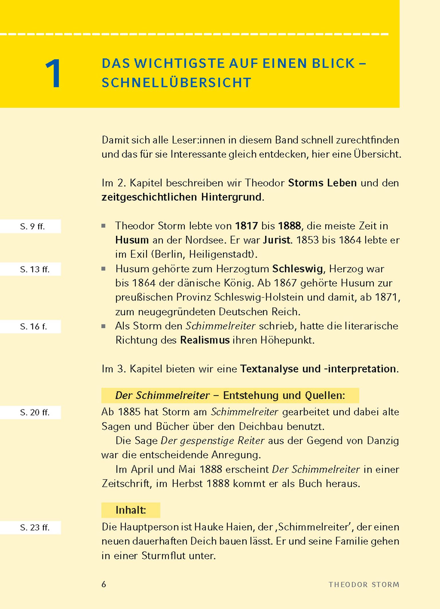 Beispielinhalt (Bild) Der Schimmelreiter von Theodor Storm.