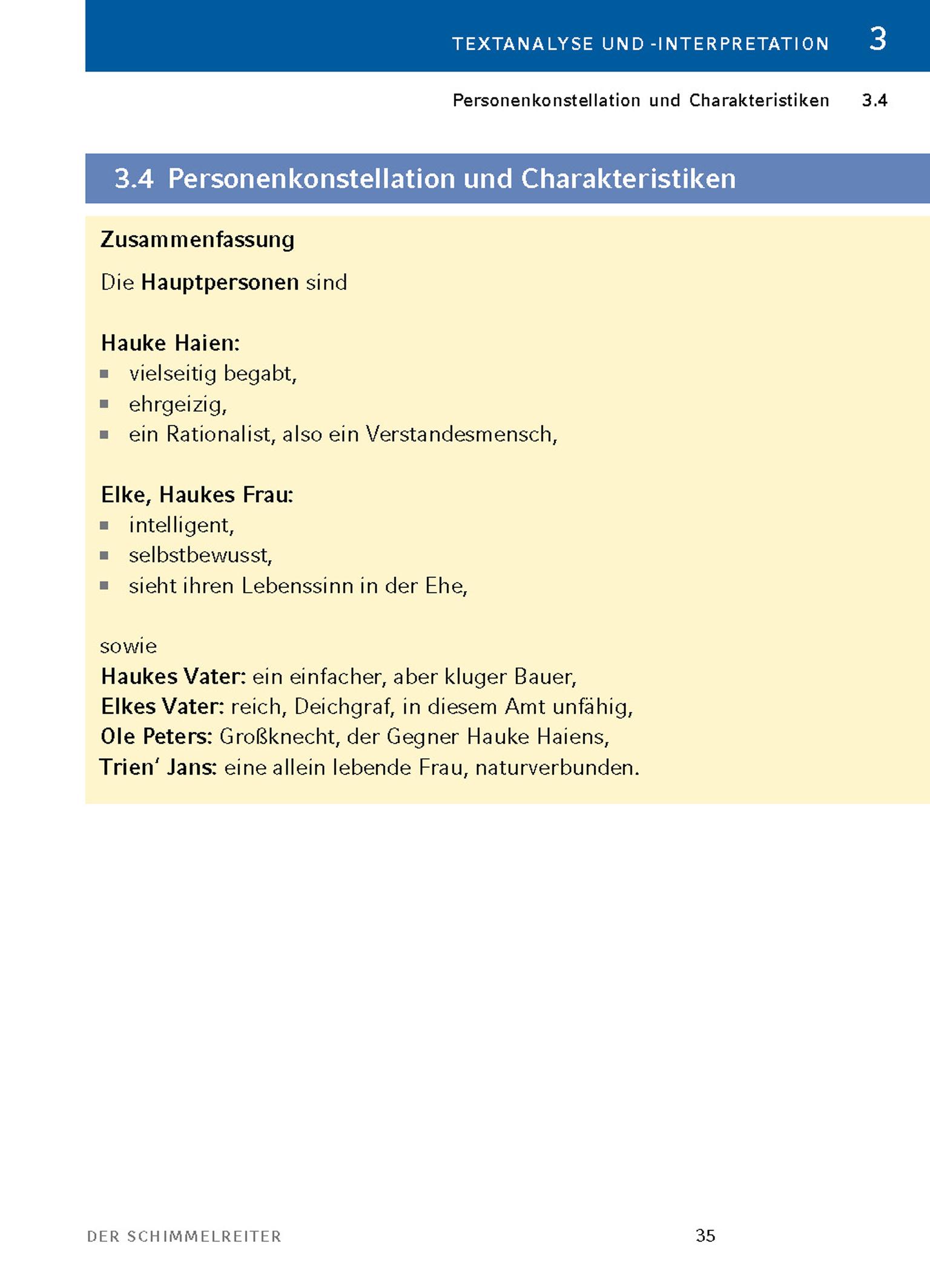 Beispielinhalt (Bild) Der Schimmelreiter von Theodor Storm.