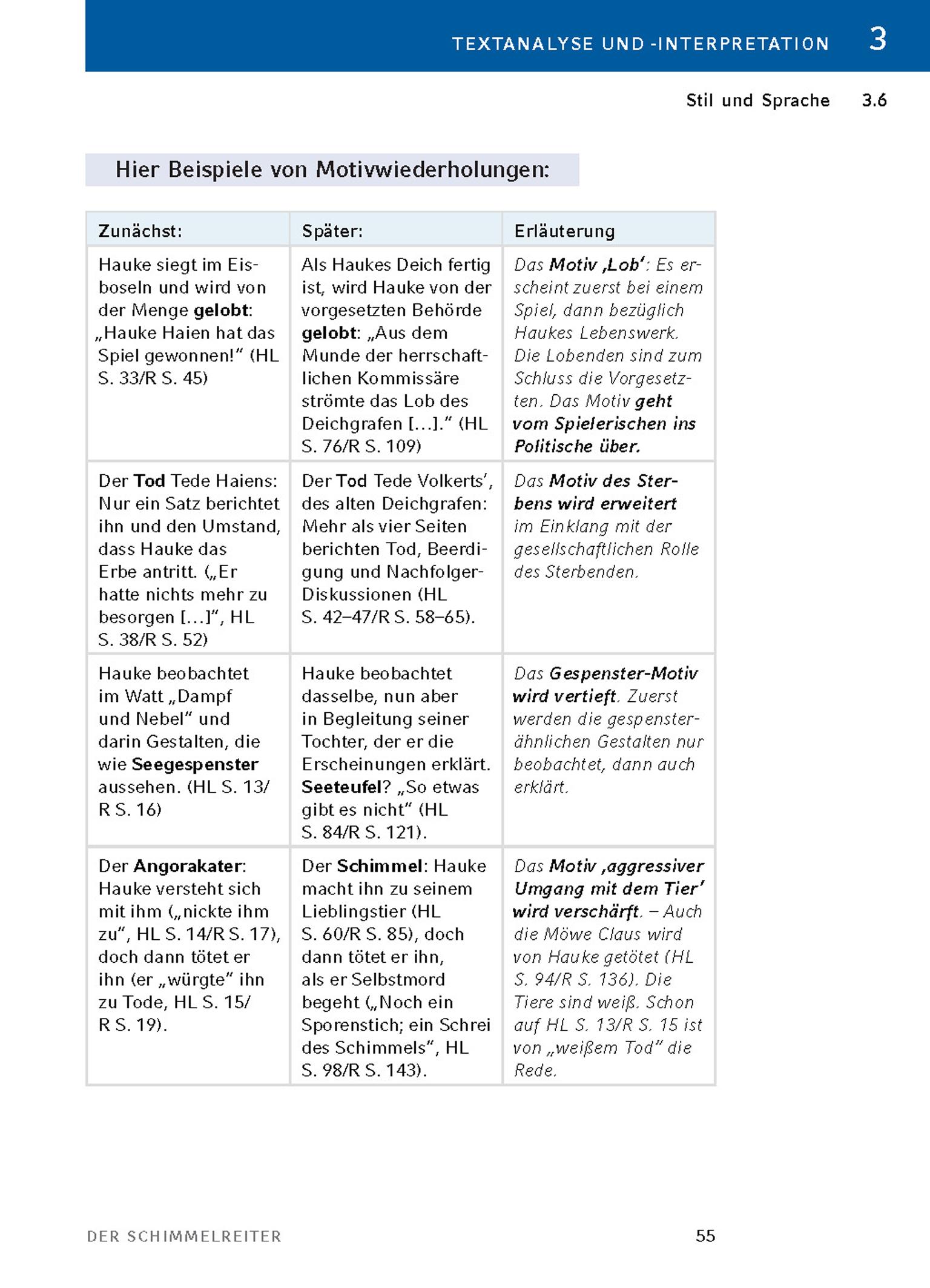 Beispielinhalt (Bild) Der Schimmelreiter von Theodor Storm.