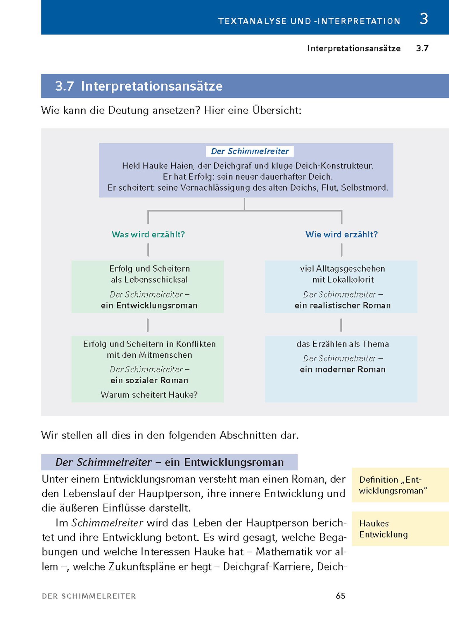 Beispielinhalt (Bild) Der Schimmelreiter von Theodor Storm.