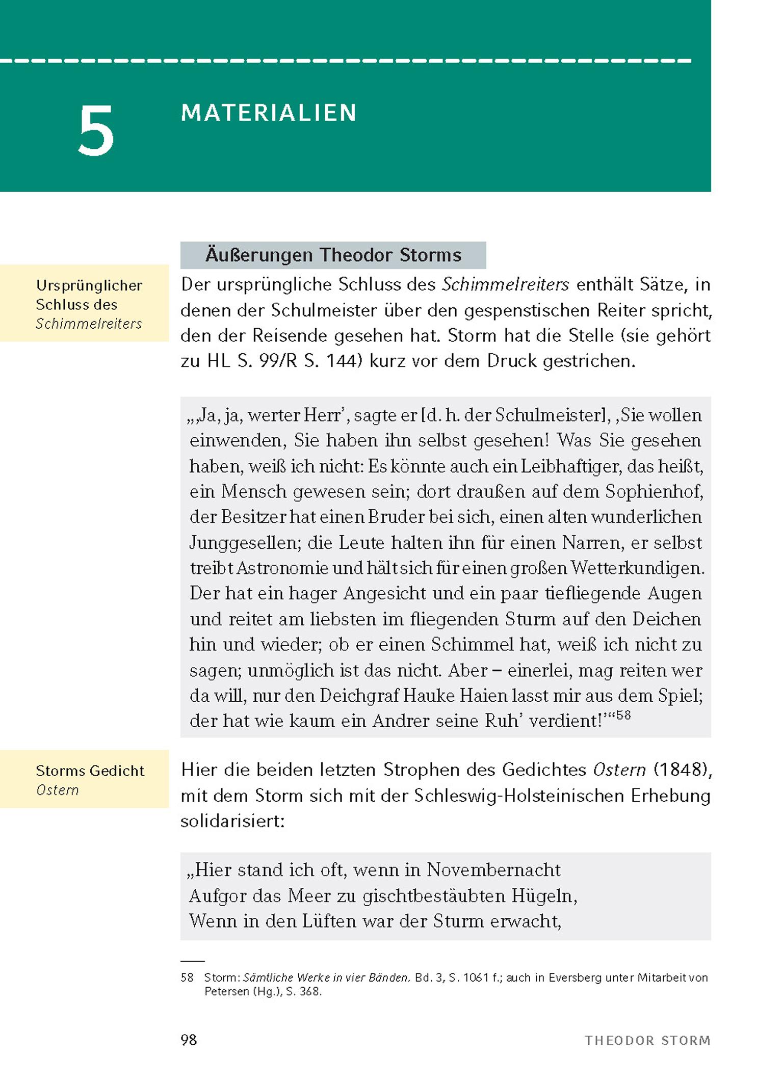 Beispielinhalt (Bild) Der Schimmelreiter von Theodor Storm.