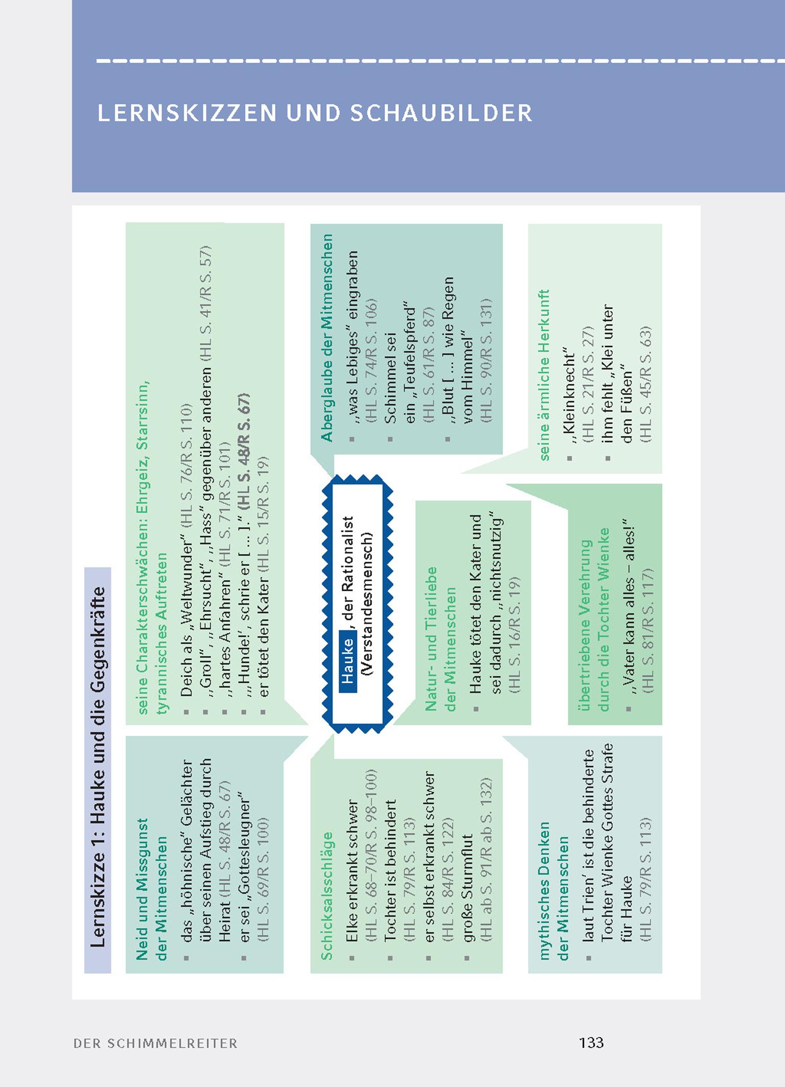 Beispielinhalt (Bild) Der Schimmelreiter von Theodor Storm.