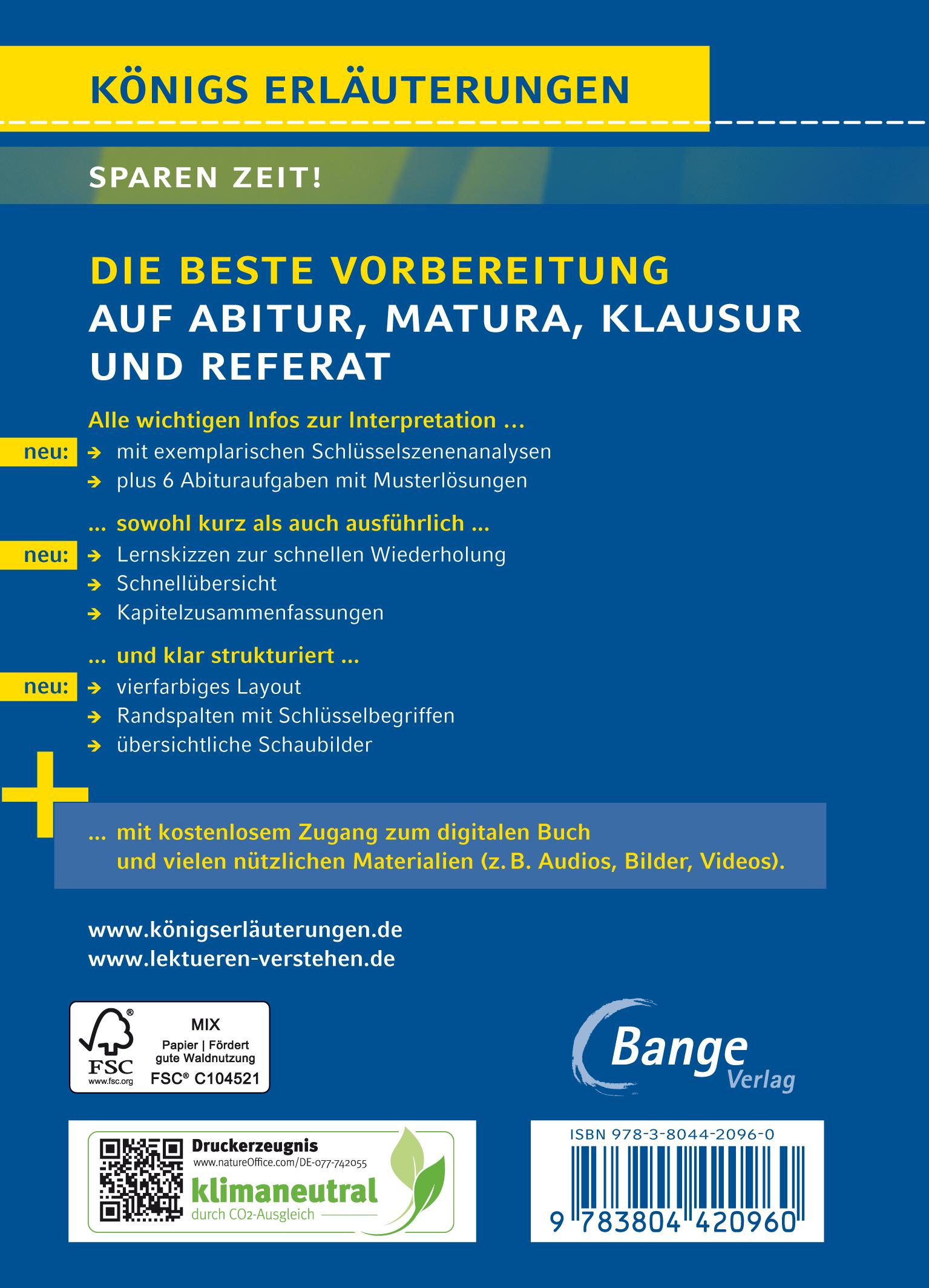 Rückseitencover Der Schimmelreiter von Theodor Storm.