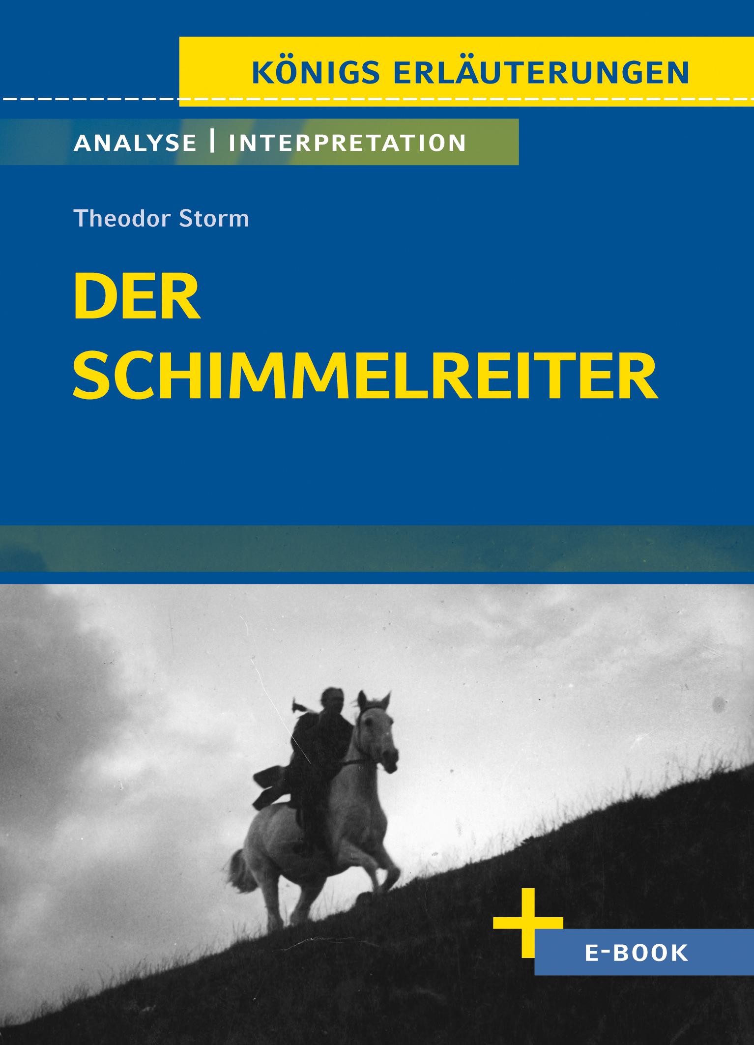 Vorderes Coverbild Der Schimmelreiter von Theodor Storm.